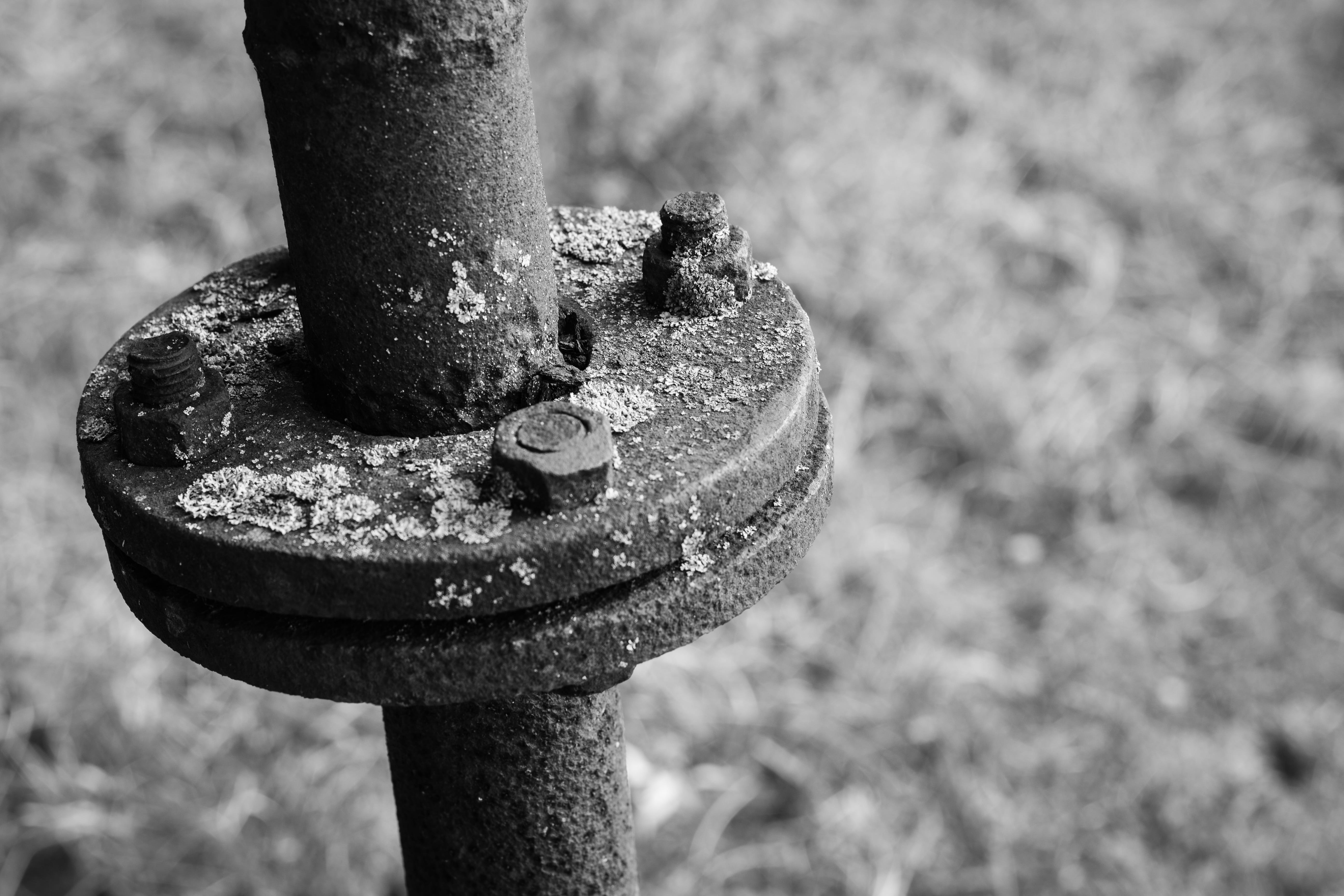 security, grass, chain, 5K, old, countryside, building, close up, architecture, black and white, tree, entrance, natural, admiration, day, close-up, industry, HD Wallpaper