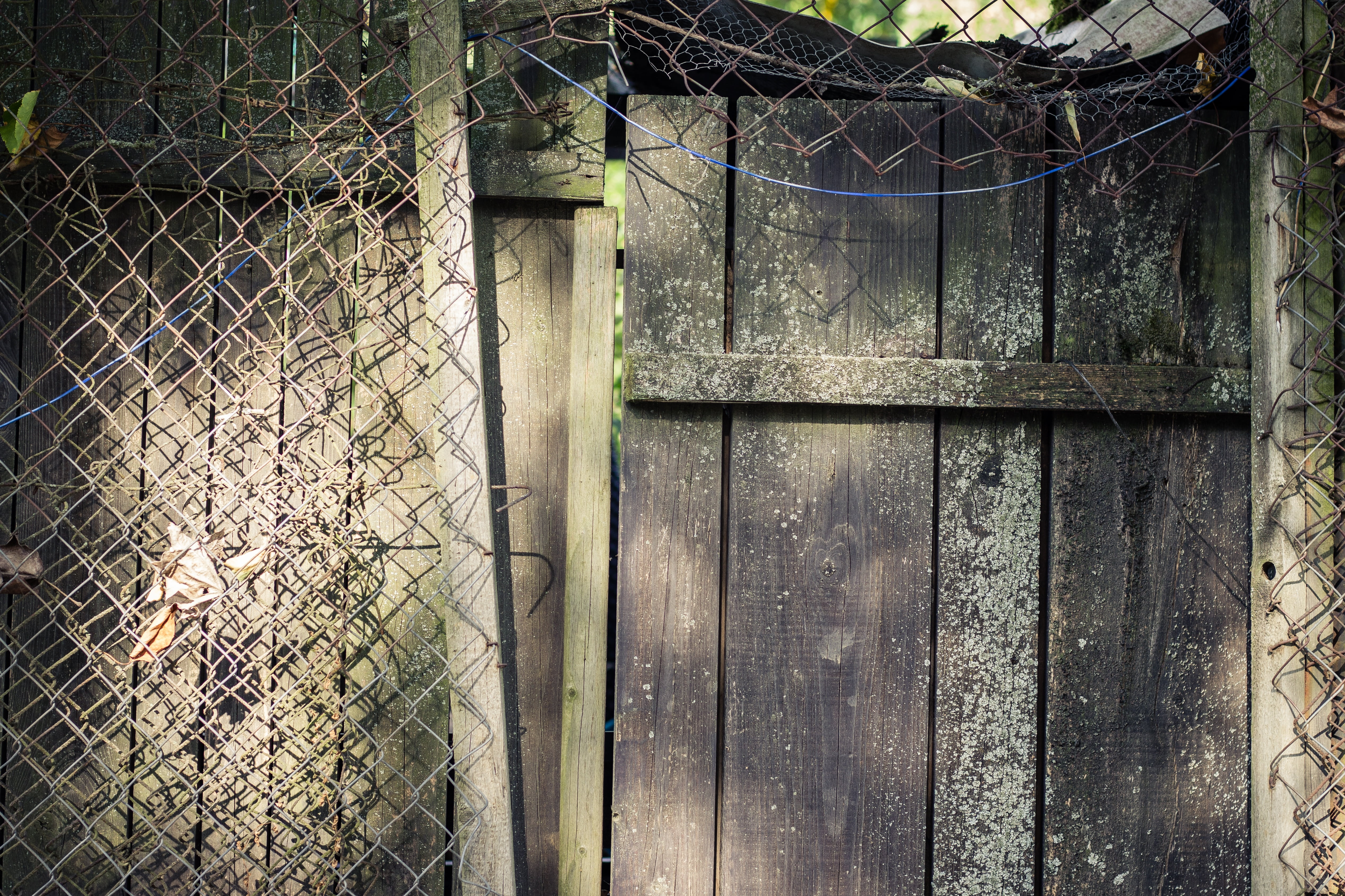 input, outside, security, plant, wooden door, safety, wood, cable, day, structure, tree, wooden, wood - material, the safety of the, outdoors, iron, board, HD Wallpaper