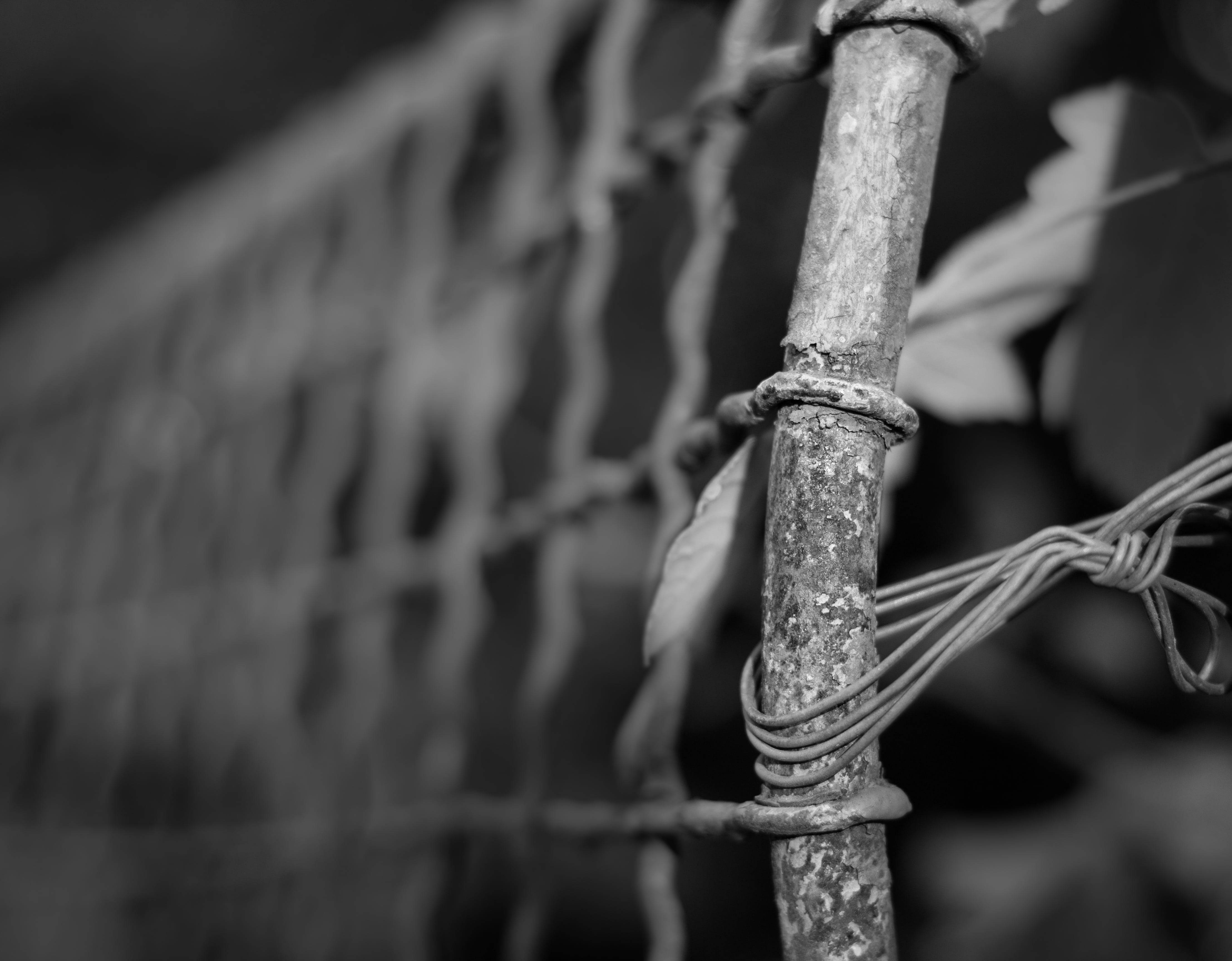 street, selective focus, metal construction, protection, the safety of the, no people, grate, irons, building, grid, nature, close-up, close, barrier, day, HD Wallpaper