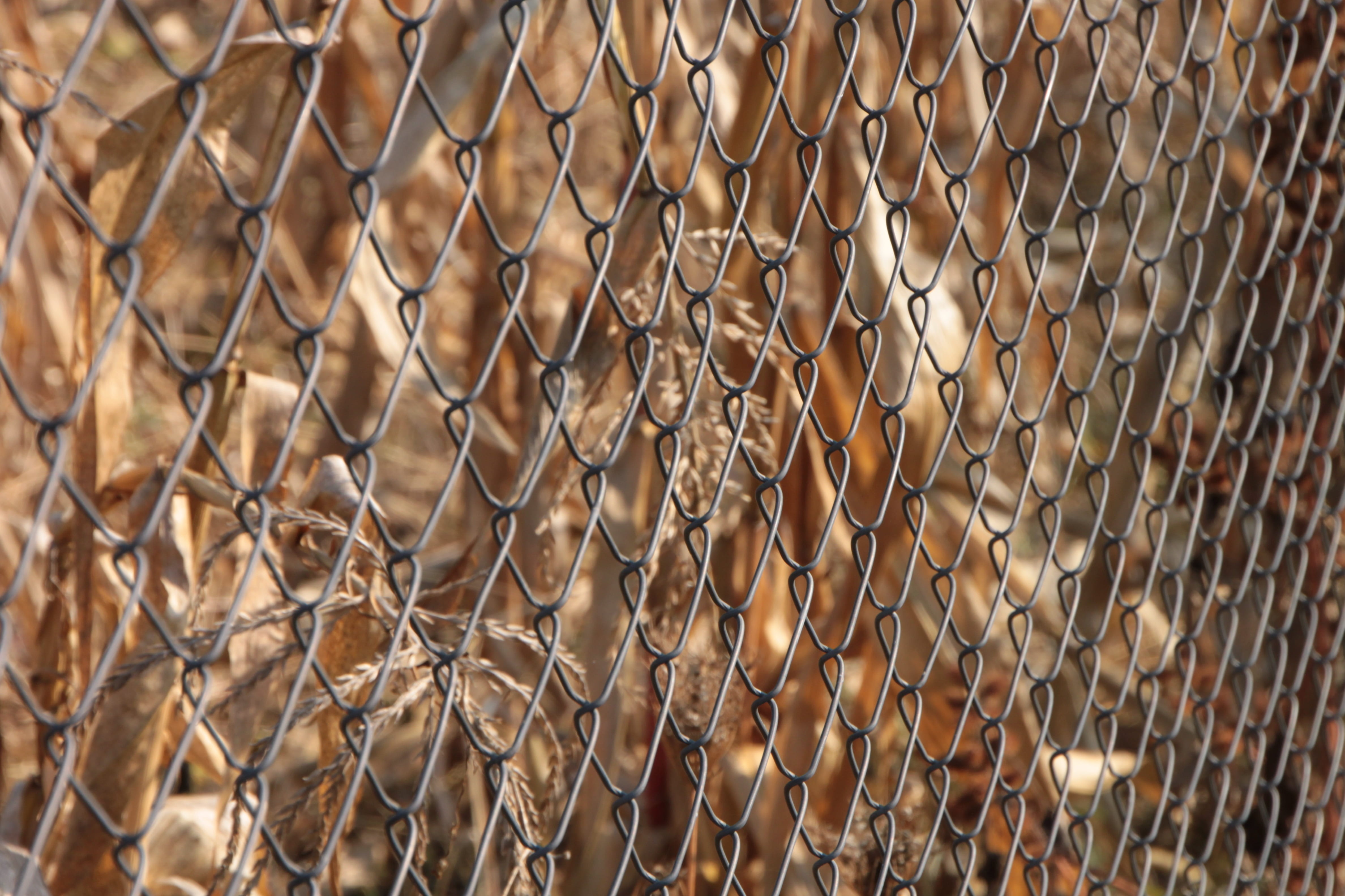 industries, wire, selective focus, Fence, metal, chainlink fence, close-up, 4K, no people, boundary, safety, full frame, day, Galvanized, backgrounds, HD Wallpaper
