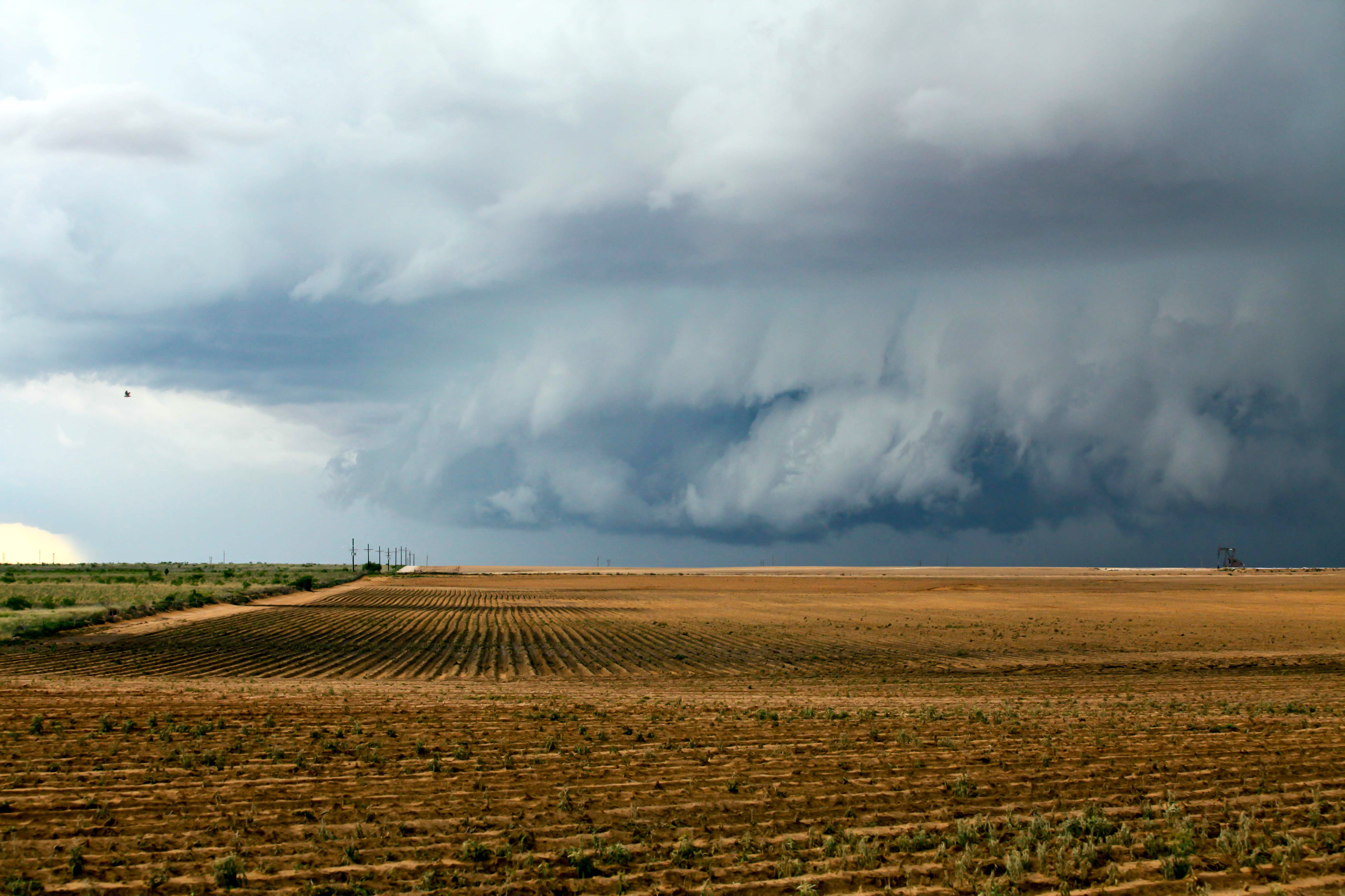 season, land, farm, cloud - Sky, landscape, summer, rural Scene, nature, 5K, brown, storm, agriculture, field, gray, outdoors, clouds, landscaped, tornado, HD Wallpaper