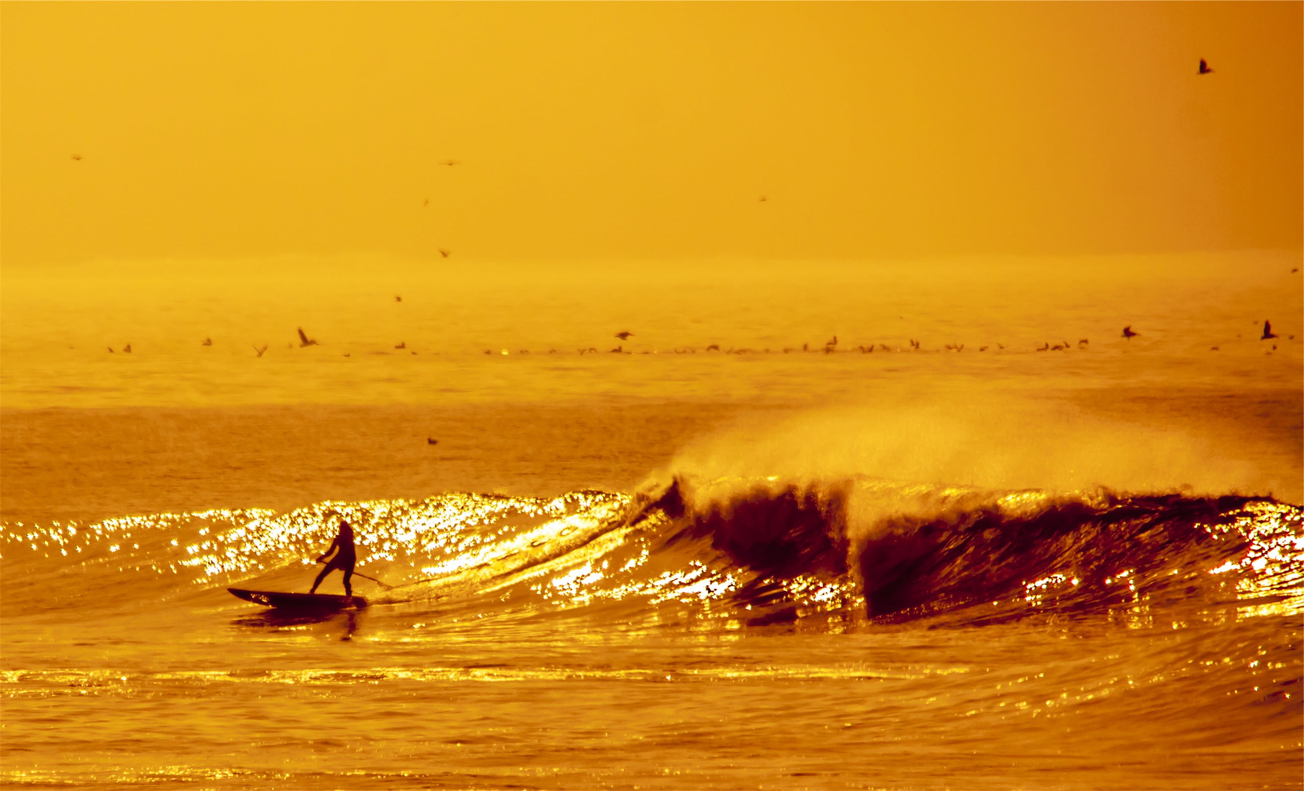 waterfront, beauty in nature, leisure activity, adventure, hour, wave, sea, riding, surfer, men, sports, scenics - nature, waves, surfboard, lifestyles, HD Wallpaper
