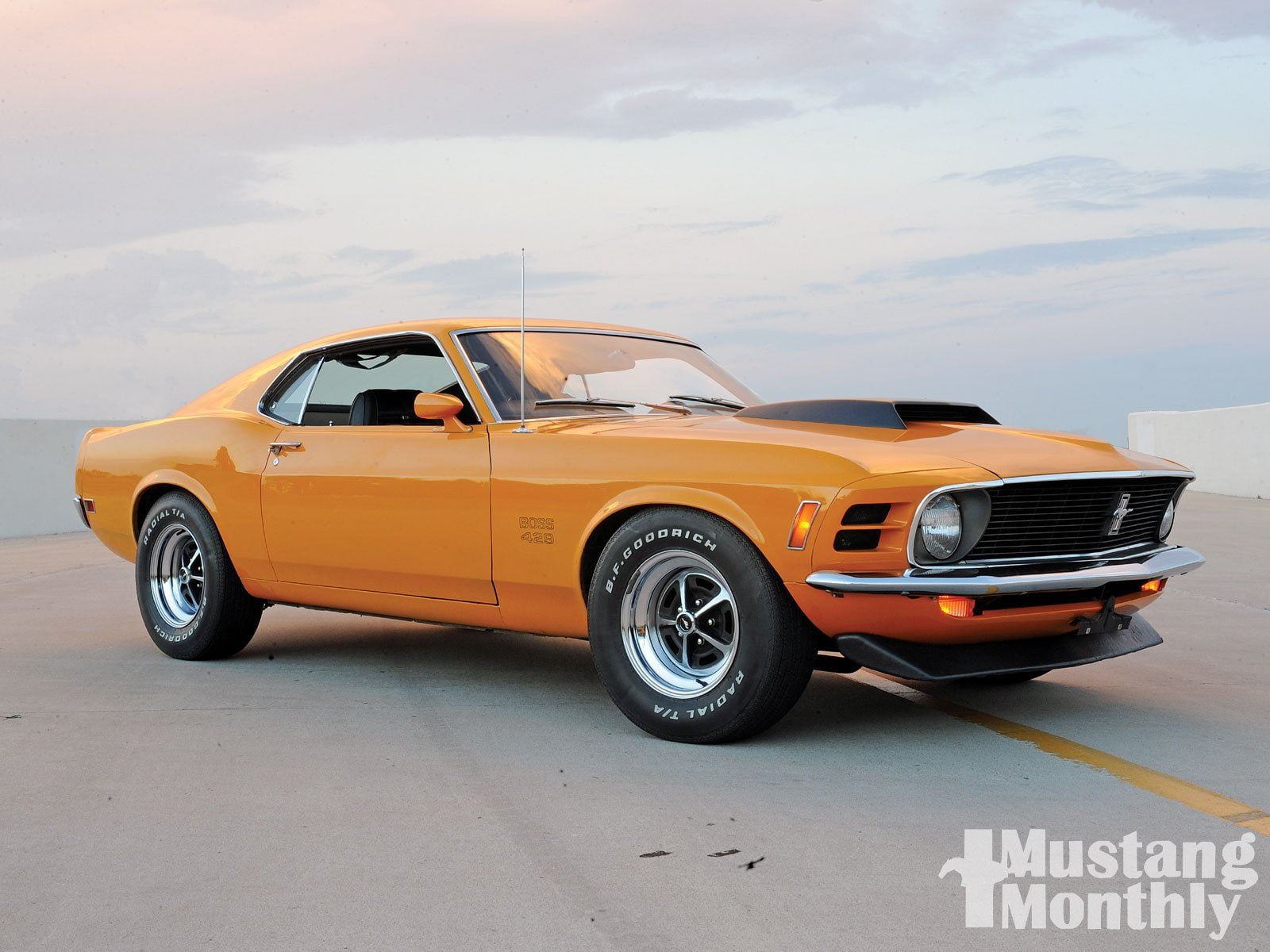 usa, mustang, pony, cars, 429, classic, boss, muscle, 1969, ford, 720P, HD Wallpaper