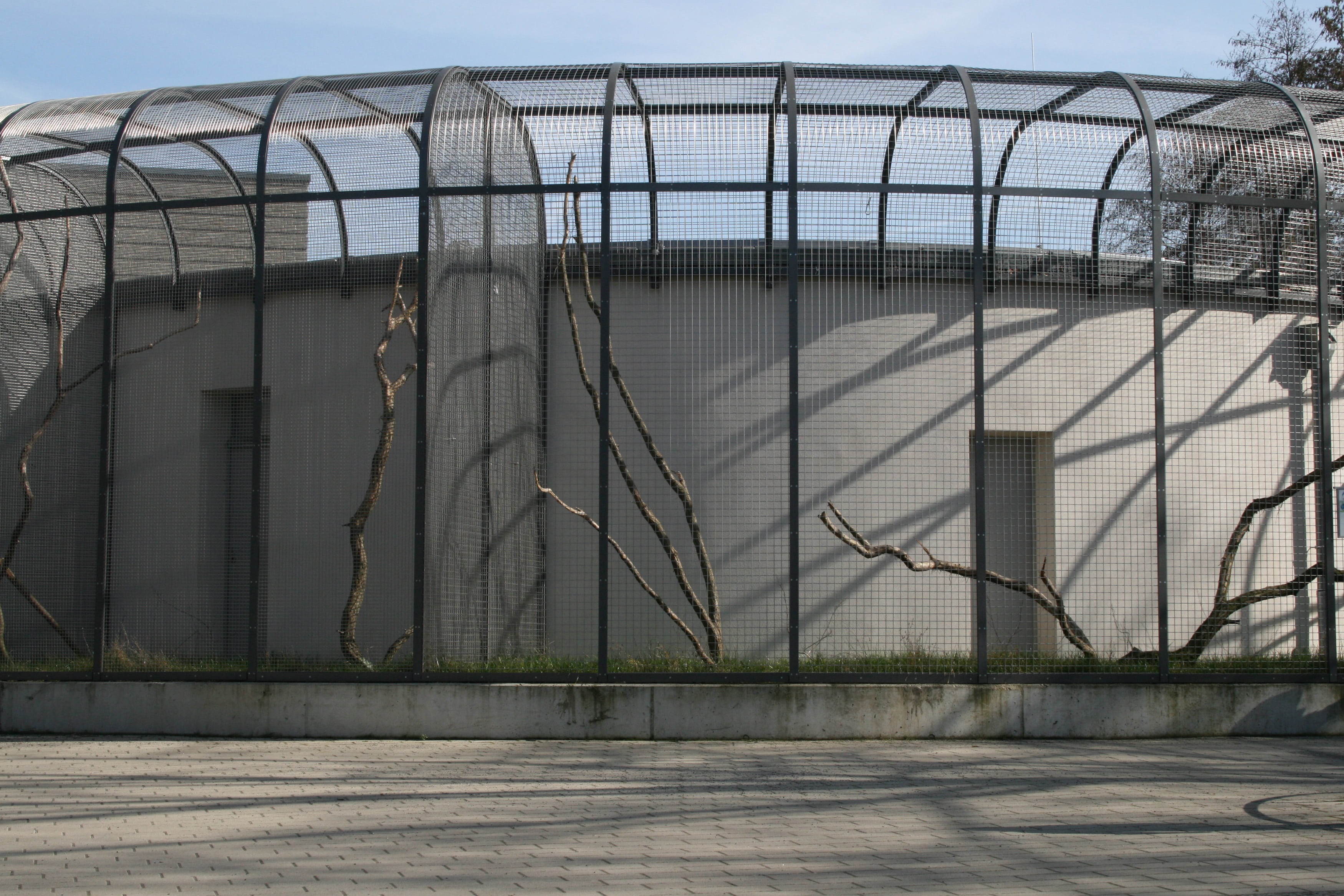 security, cage, building exterior, metal, prison, captivity, wire, shadow, architecture, day, outdoors, safety, 2K, building, no people, nature, entrance, HD Wallpaper