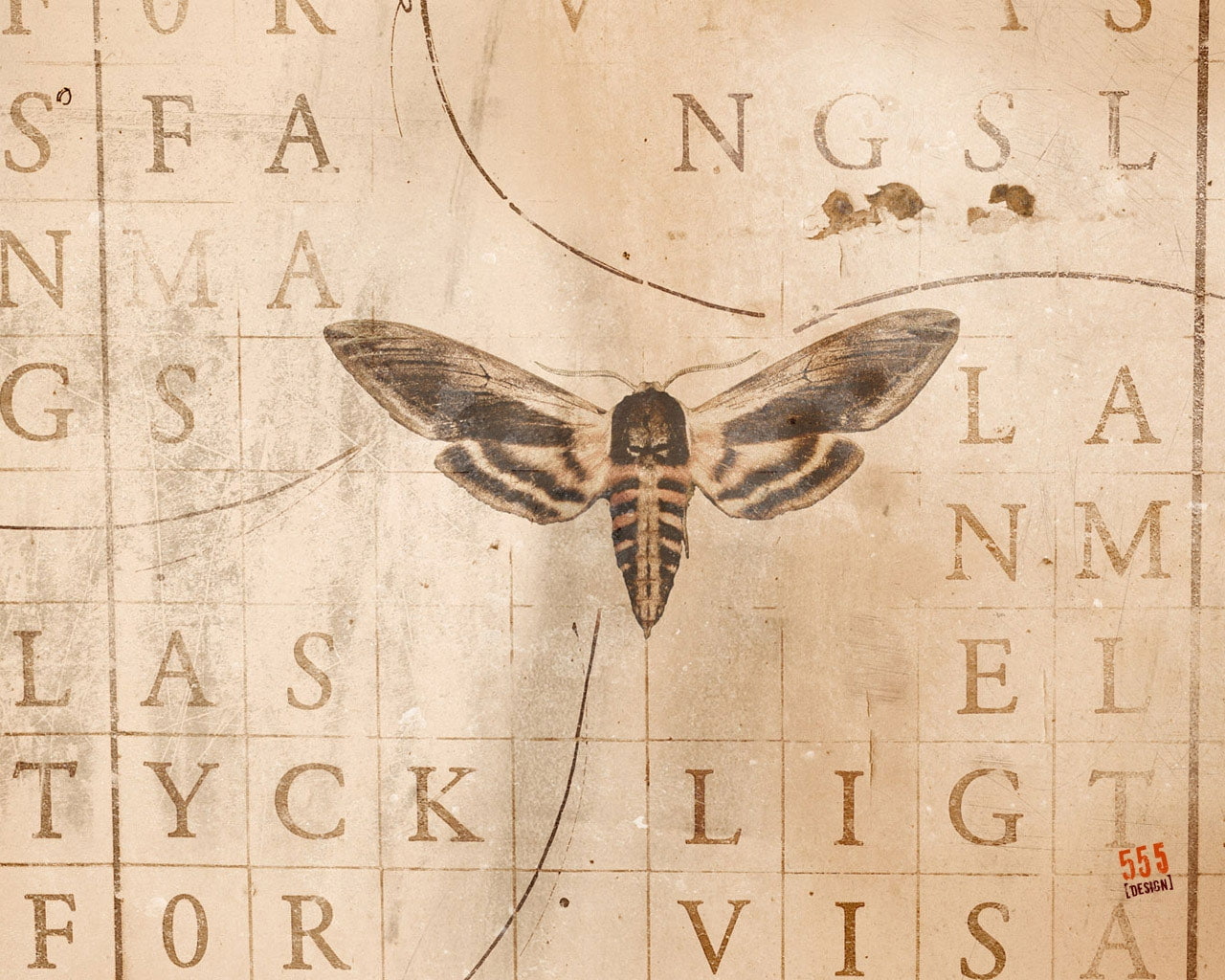x, poor, butterfly, animals, art, butterflies, 720P, hd, HD Wallpaper