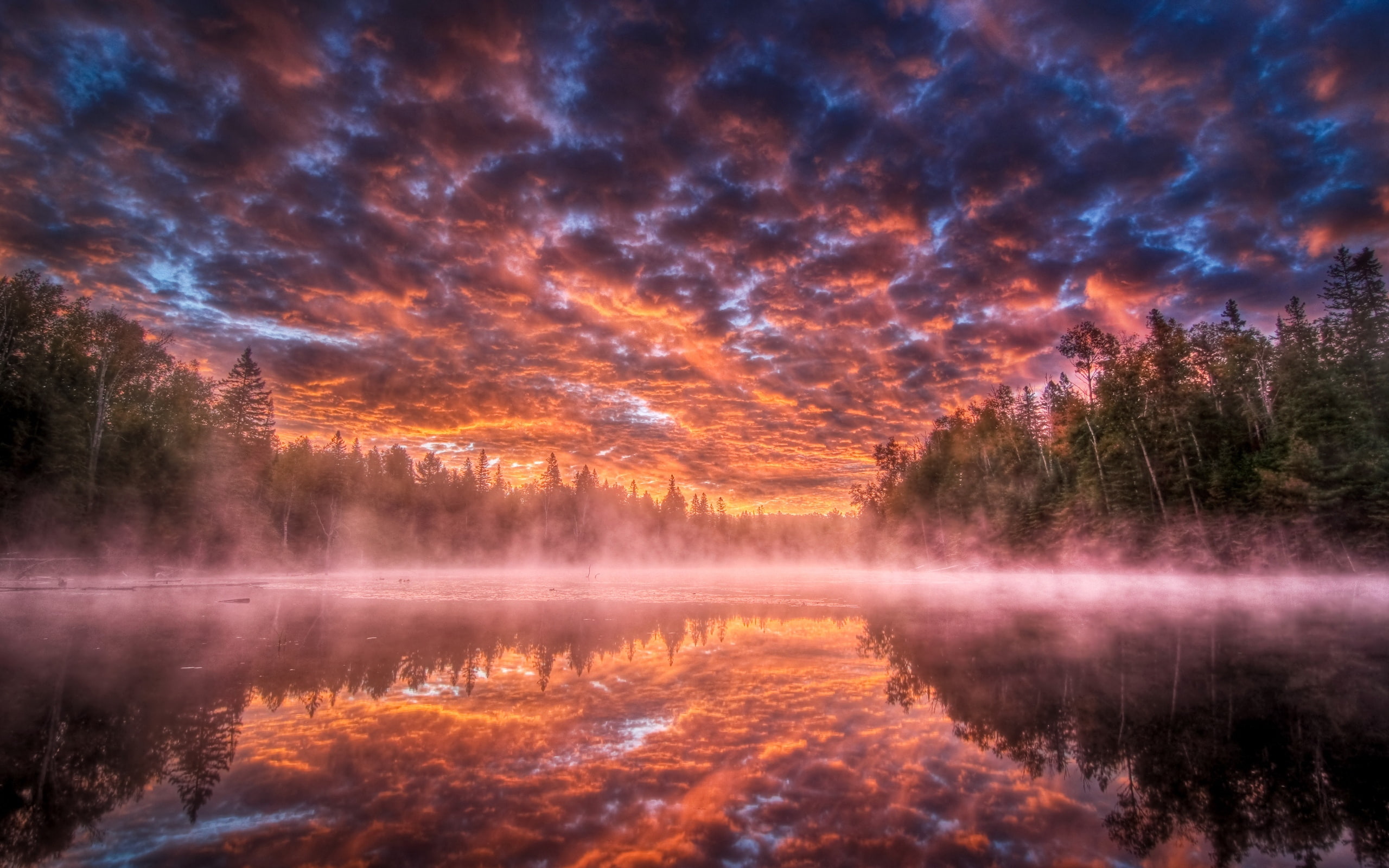 trees, gloomy, shadows, sky, twilight, reflection, heavy, fog, steam, clouds, terribly, wood, 2K, lake, HD Wallpaper
