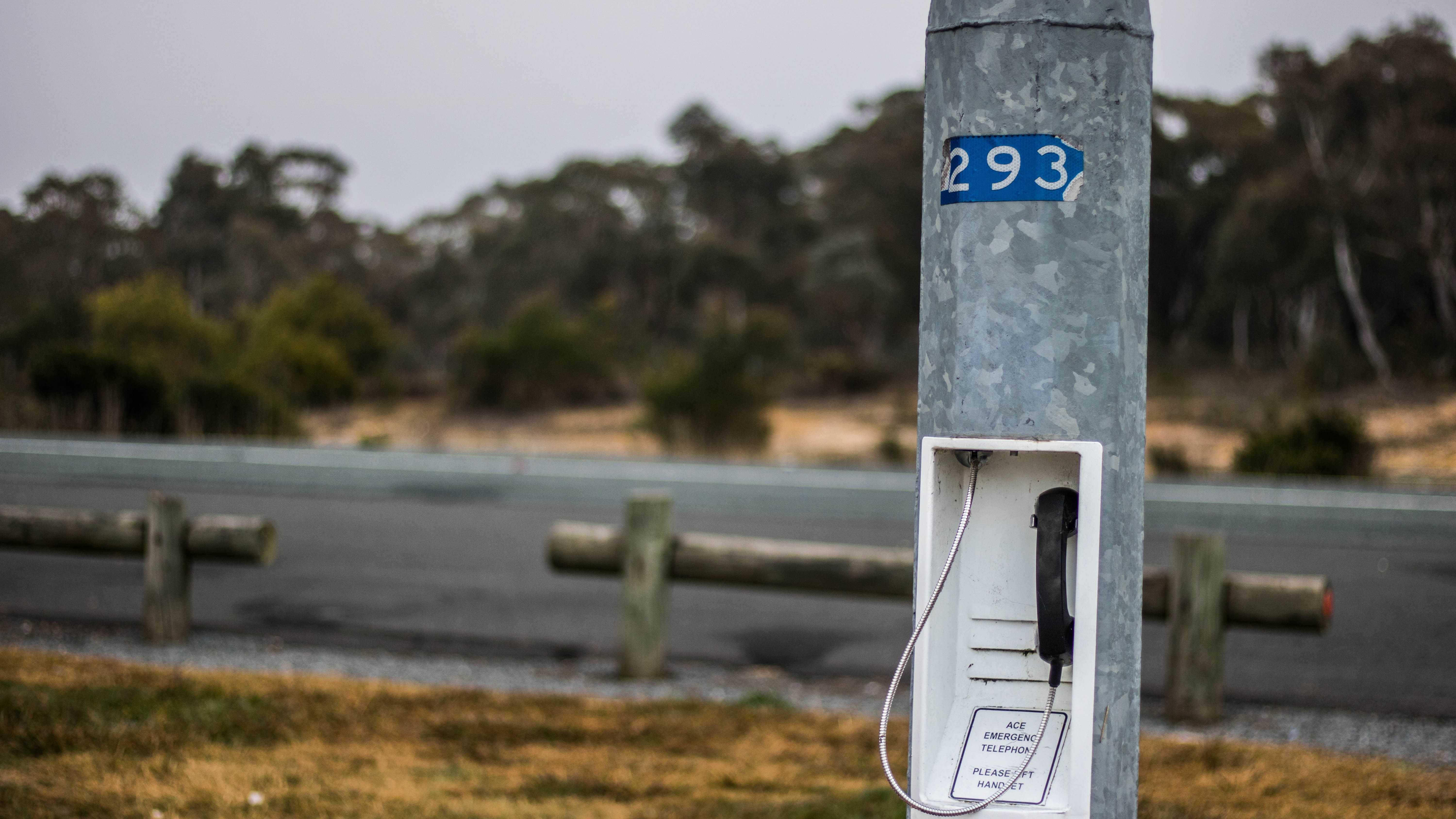 focus on foreground, plant, phone, no people, emergency, void, water, close-up, road sign, telephone, number, rest stop, 5K, information, rescue, helpless, HD Wallpaper