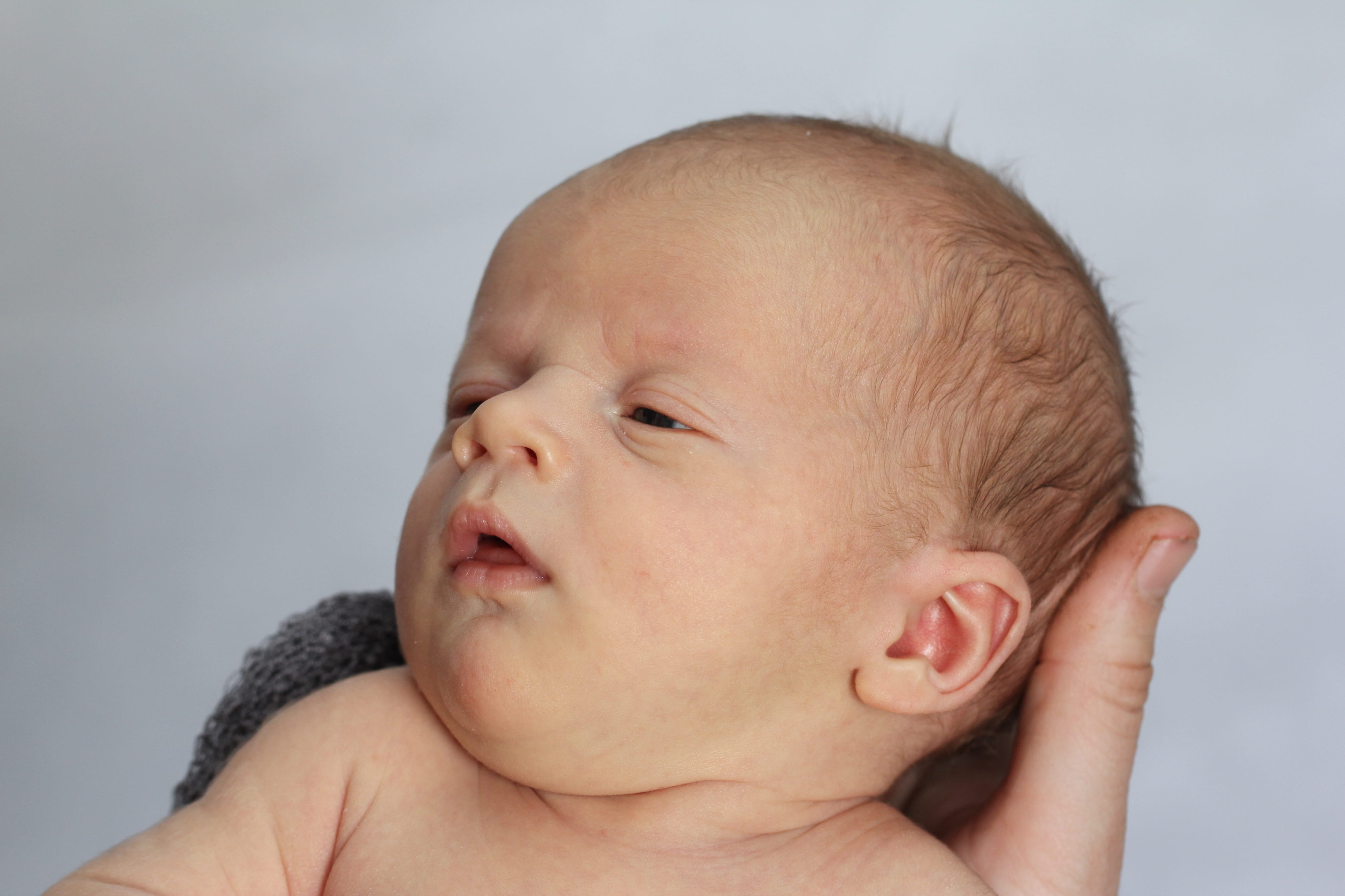 headshot, cute, mouth open, gray, birth, human body part, newborn, precious, sleepy, baby, one person, helpless, 5K, infancy, adorable, gray background, HD Wallpaper