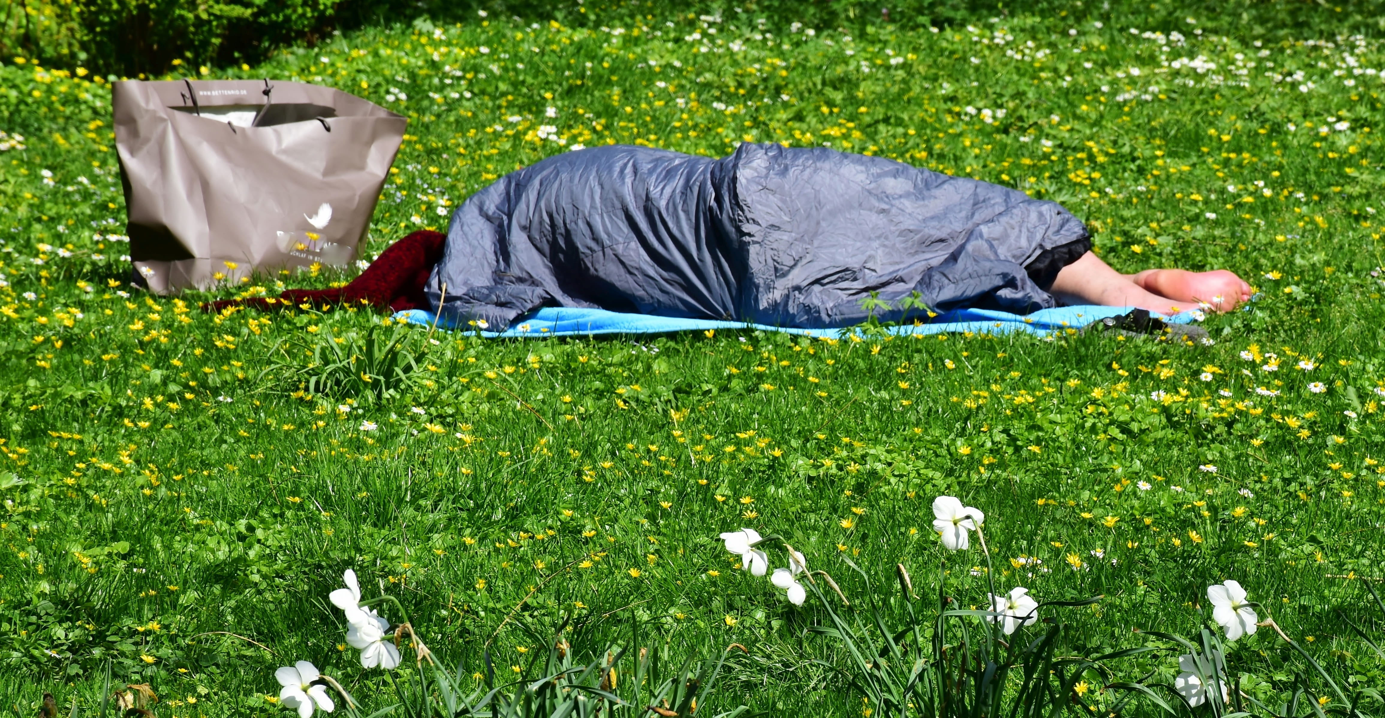rest, exclusion, lying, relaxation, despair, domestic animals, one person, fear, barefoot, nature, spring, green color, helplessness, lonely, man, canine, HD Wallpaper