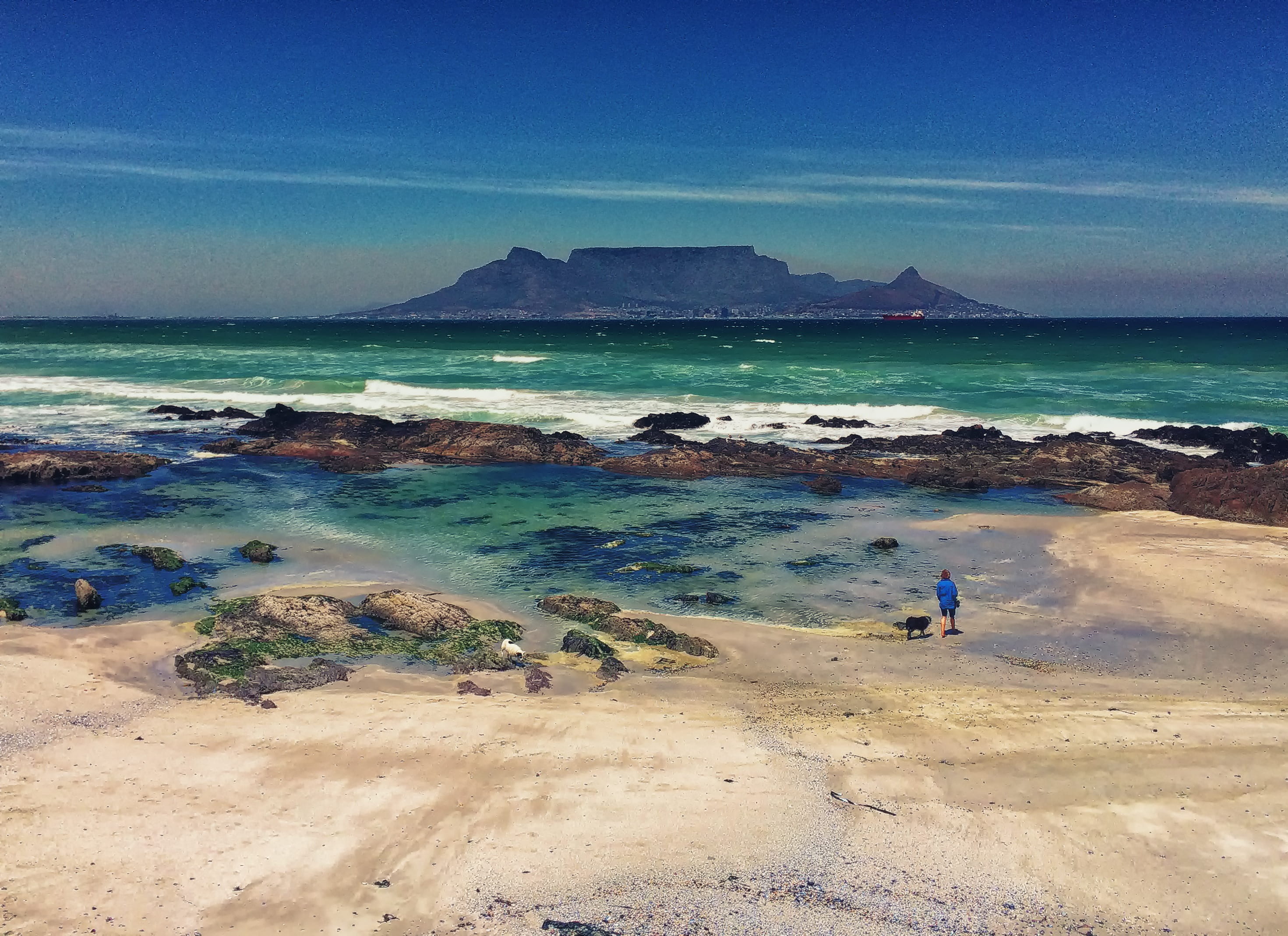 land, dog, Cape Town, lifestyles, city, panoramic, holiday, scenics, 2K, sea, tranquility, tranquil scene, ocean, woman, beach, blue, non-urban scene, HD Wallpaper