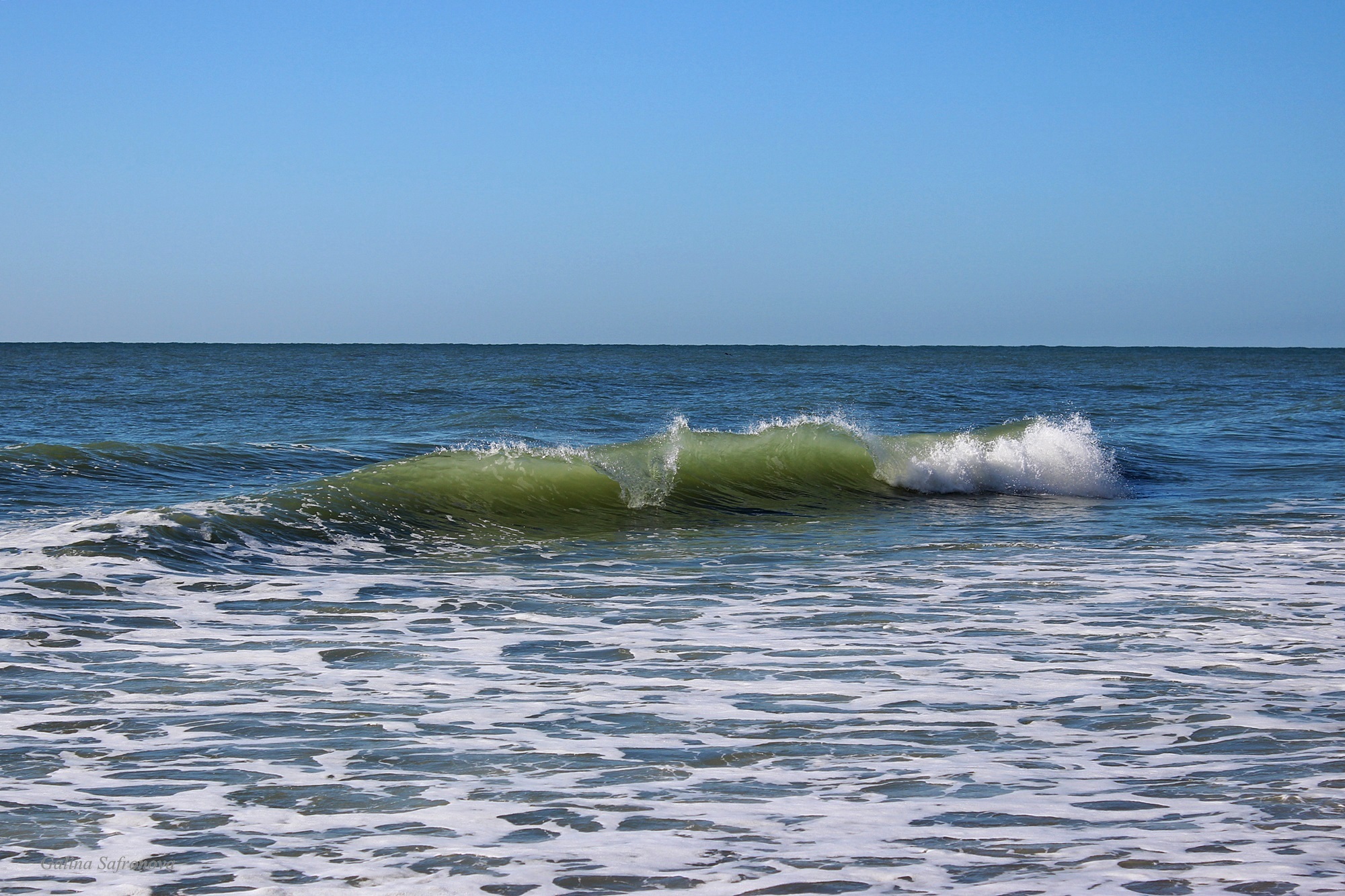 shore, day, atlantic, clear sky, sky, land, outdoors, south carolina, nature, ocean, beauty in nature, beach, horizon over water, water, waves, 1080P, HD Wallpaper