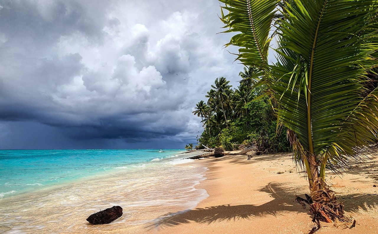 palm tree, land, environment, sunlight, palm leaf, horizon over water, tropical climate, sea, palm trees, 720P, water, atolls, tranquility, cloud - sky, HD Wallpaper