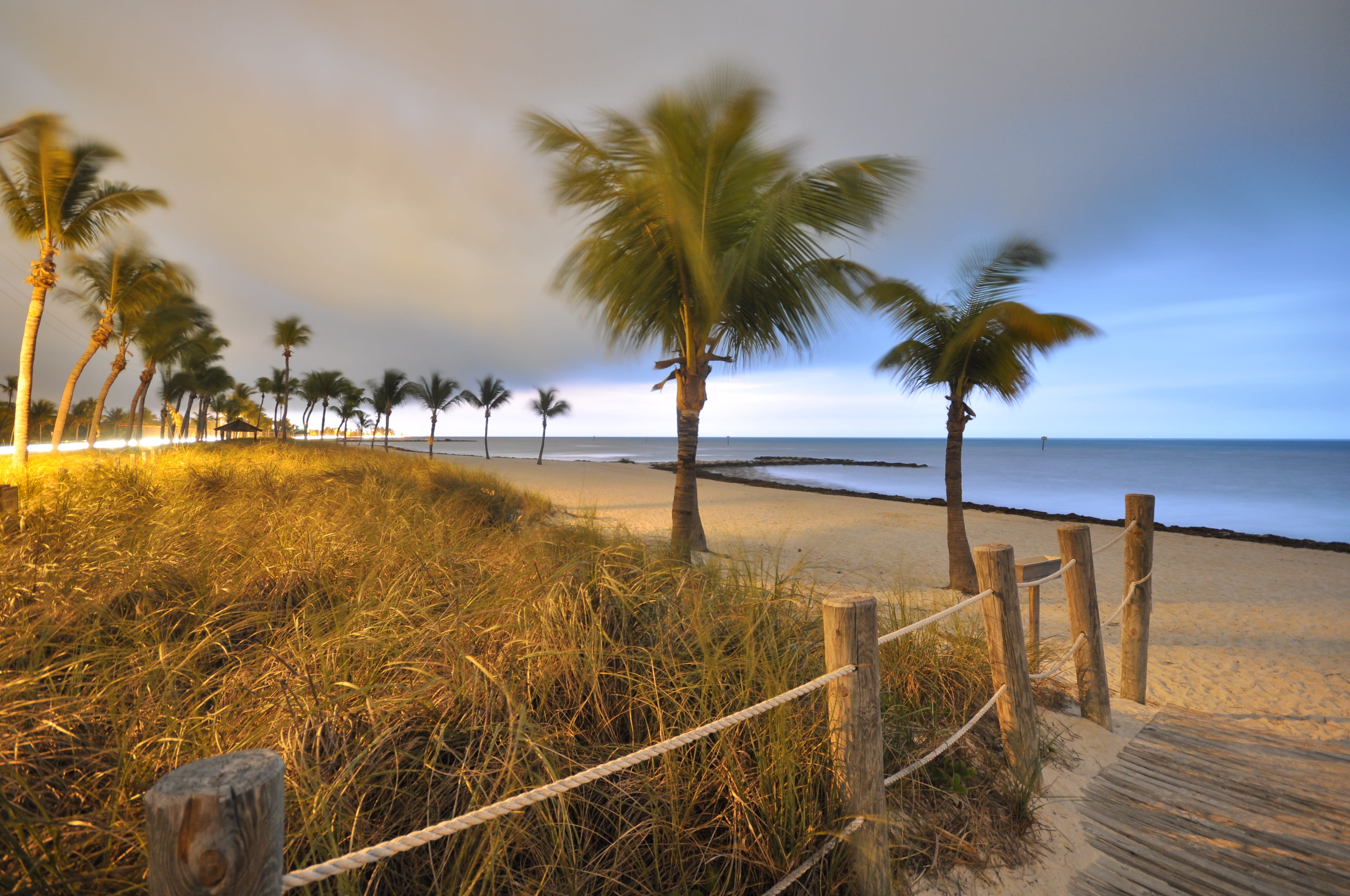 leisure, water, florida, land, palm tree, palm, tropical climate, tropical, horizon, plant, clouds, growth, ocean, cloud - sky, beauty in nature, outdoors, HD Wallpaper