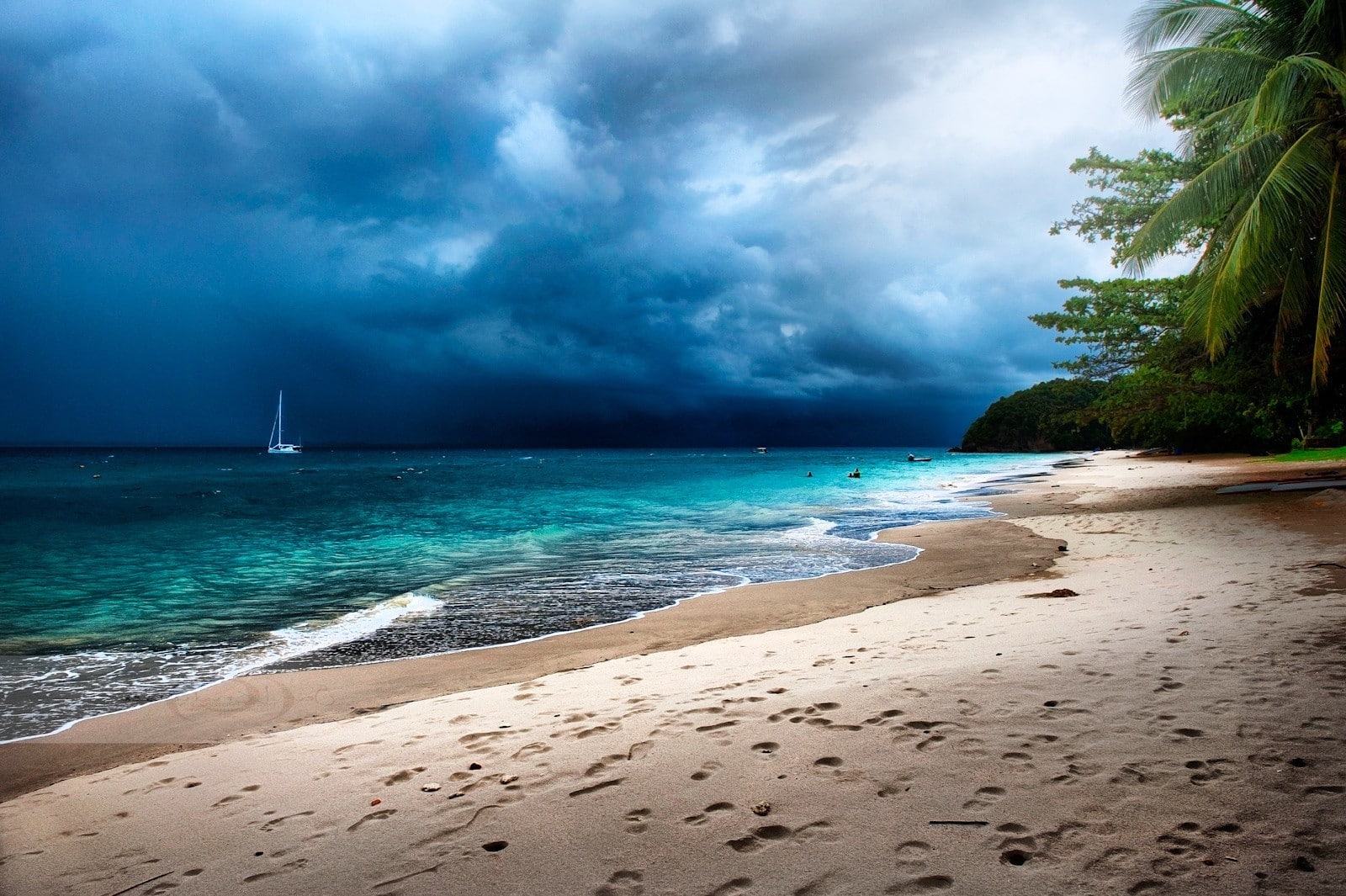 tropical palm trees beach sand storm sea island clouds malaysia sailboats nature landscape, 720P, HD Wallpaper