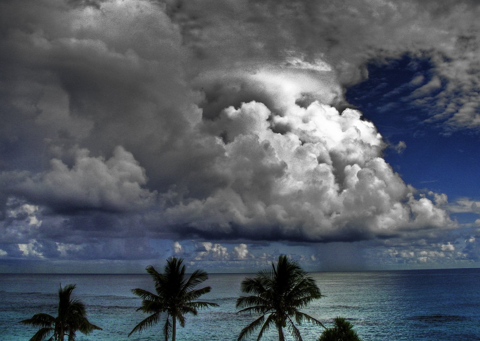 palm tree, tropical Climate, land, vacations, tree, blue, horizon, landscape, island, scenics, seascape, storm Cloud, beach, sand, sea, water, nature, no People, HD Wallpaper