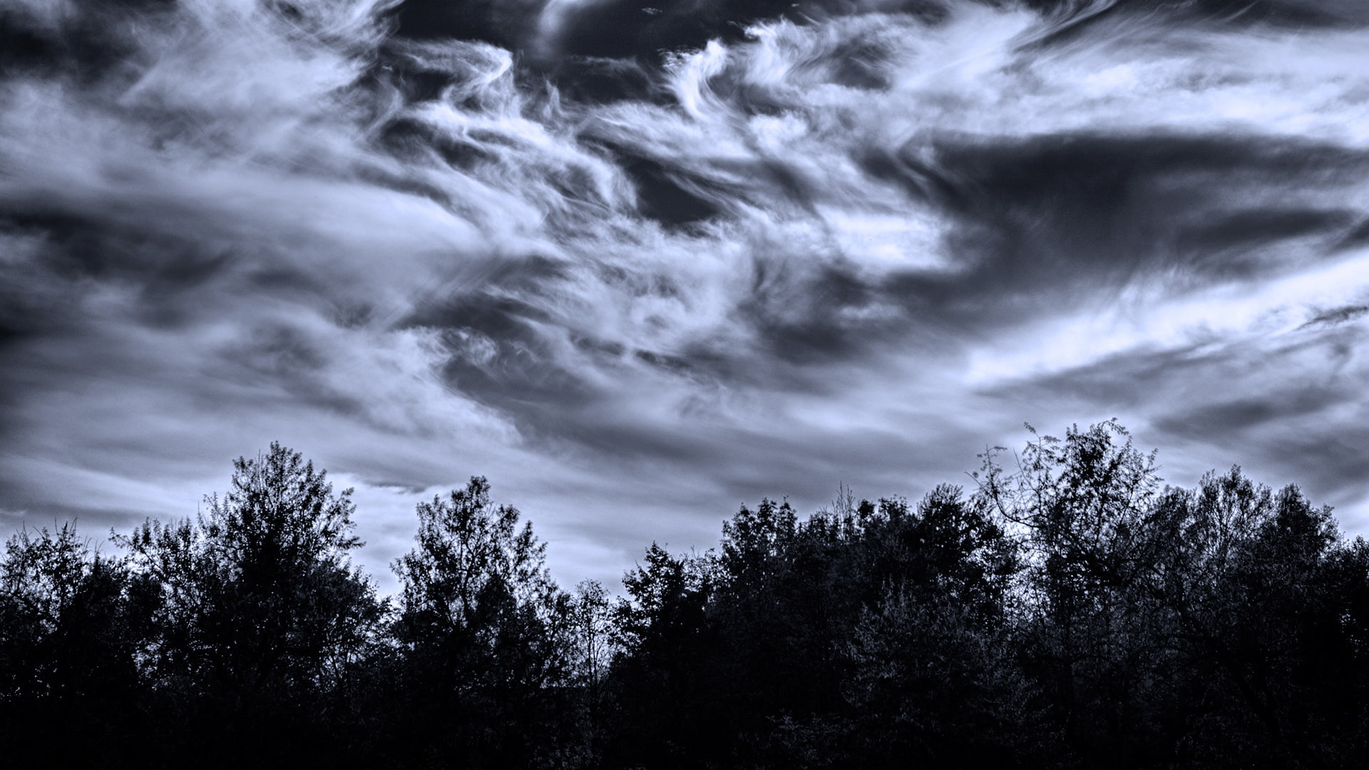 clouds, sky, nature, weather, swirl, white, black, trees, 1080P, forest, light, moon, moonlight, glow, HD Wallpaper