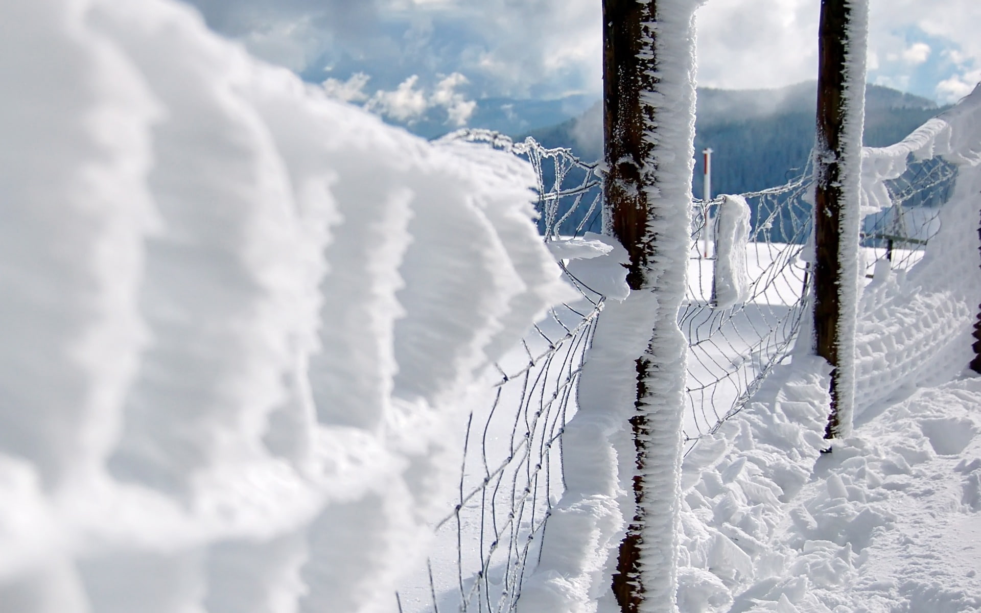 hd, 1080P, snow, fence, wire, winter, nature, HD Wallpaper