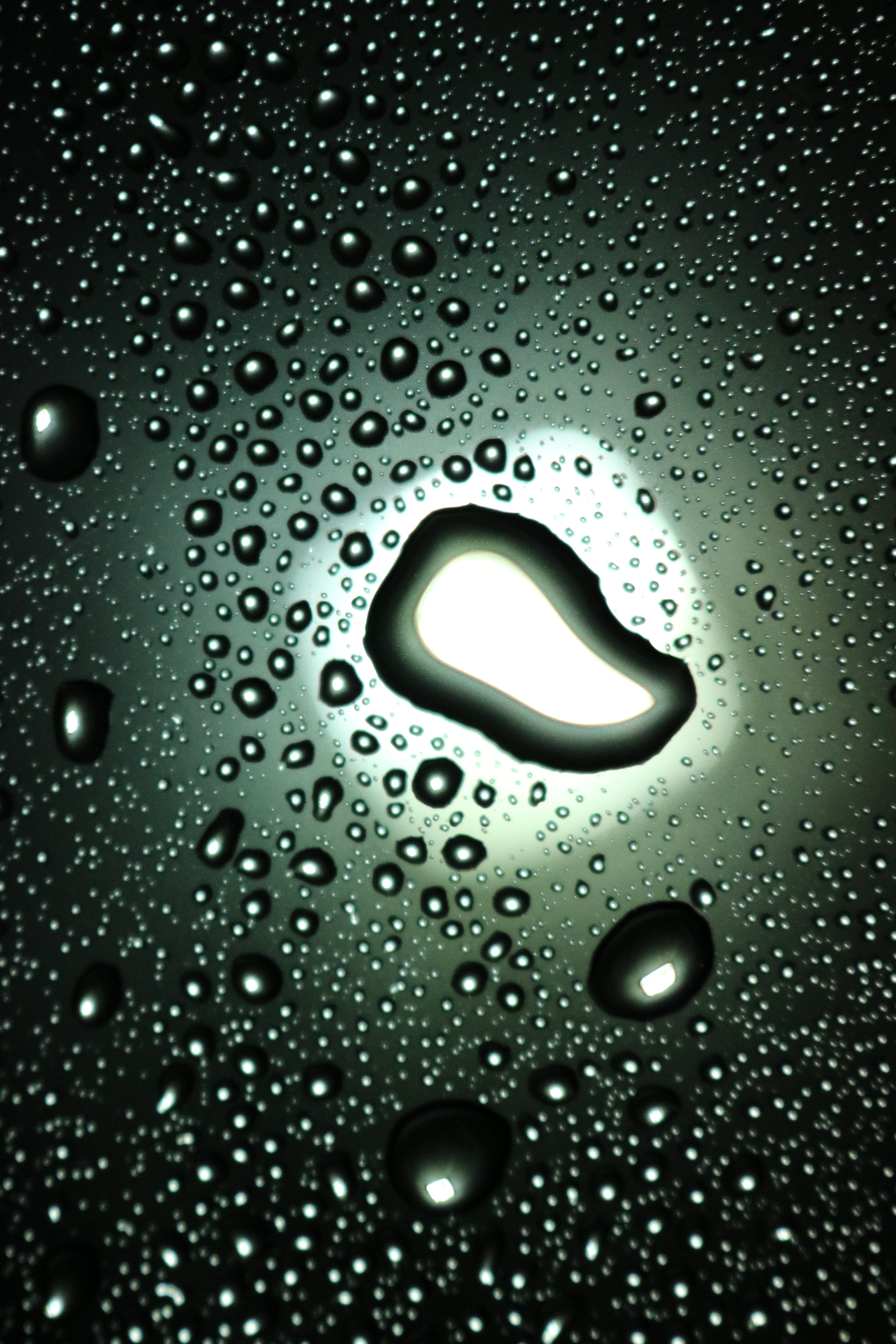 Rain, clean, pattern, 5K, Rainy, no people, droplet, drop, condensation, raindrop, fresh, Water, window, Nature, Drop, purity, close-up, full frame, wet, Phone HD Wallpaper