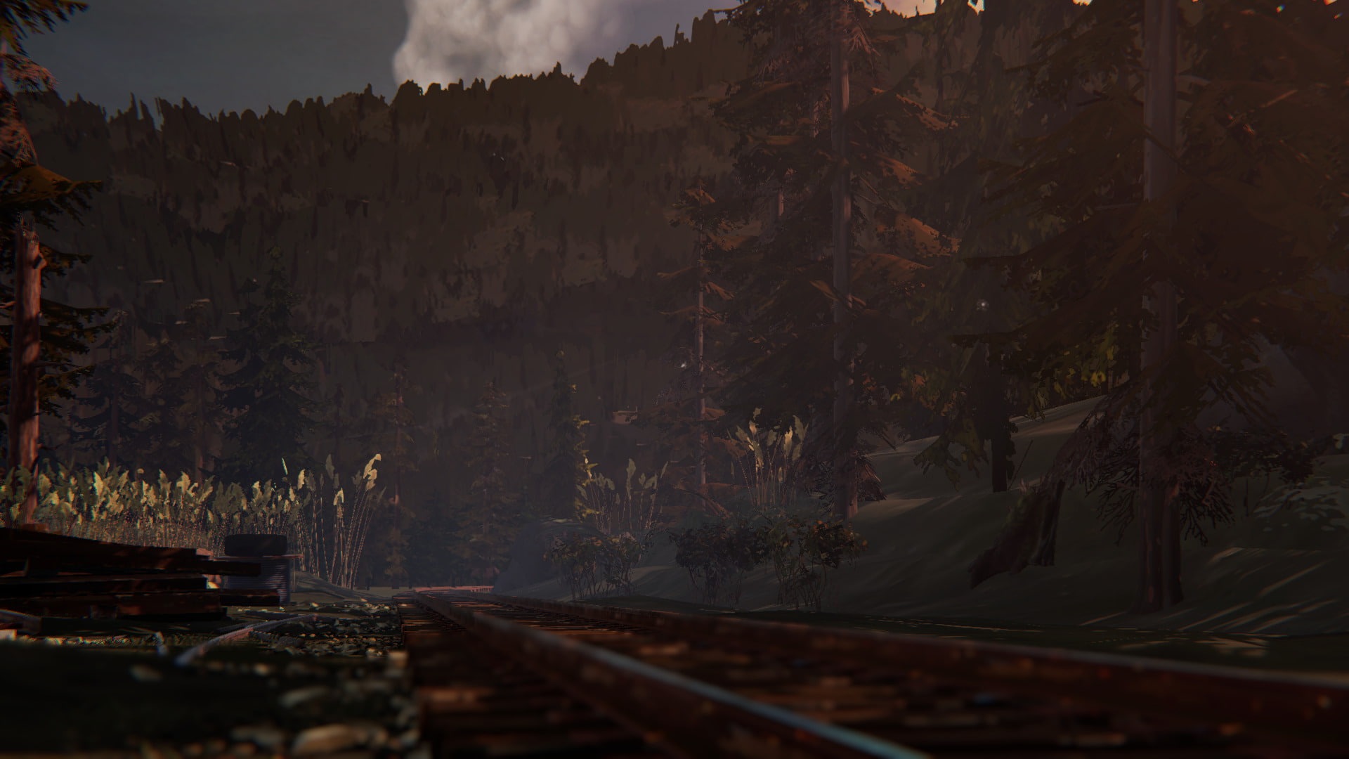 1080P, Life Is Strange, Railroad, Life Is Strange: Before The Storm, Forest, HD Wallpaper