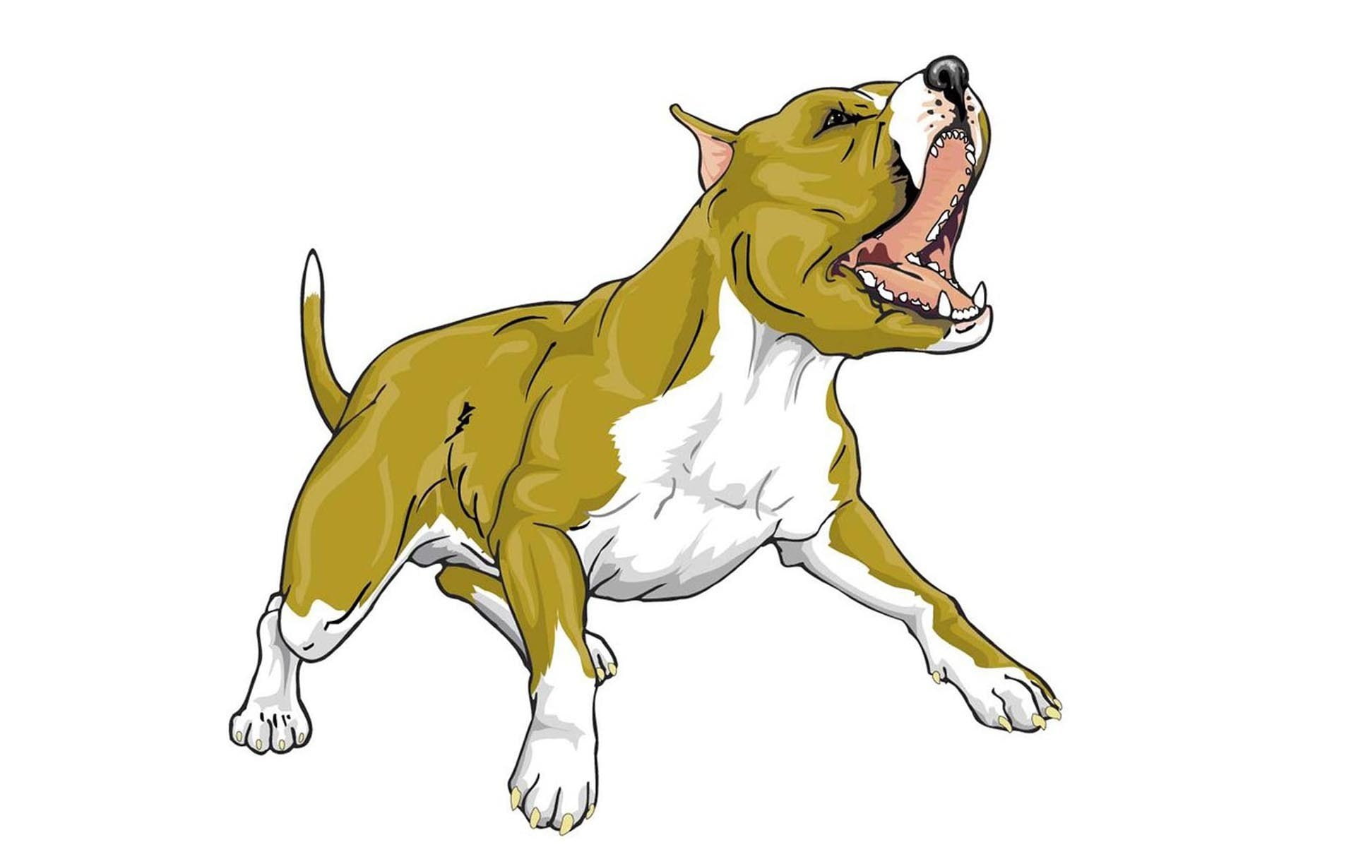 dogs, 1080P, animated, bull, pitbull, HD Wallpaper