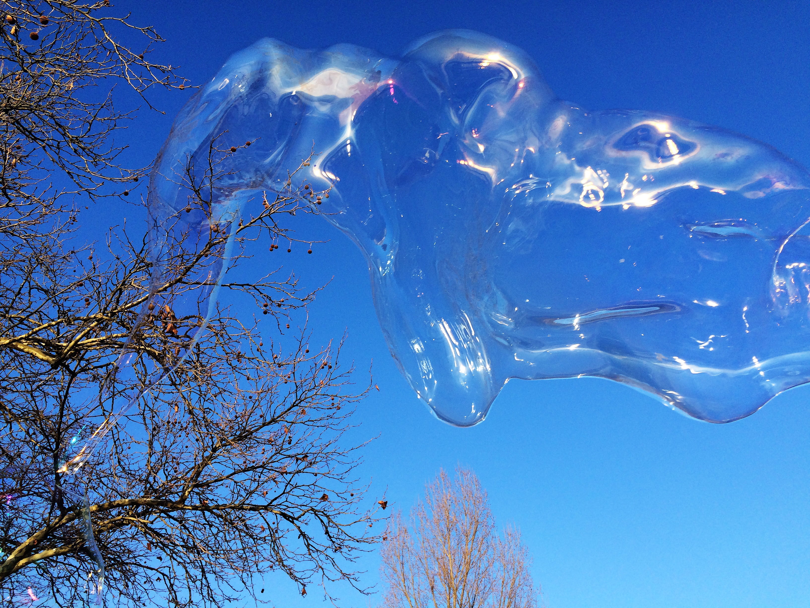 sunlight, cold temperature, blow, bubble ring, frozen, children, make soap bubbles, sky, flying, park, motion, colorful, no people, fun, large, sensitive, HD Wallpaper