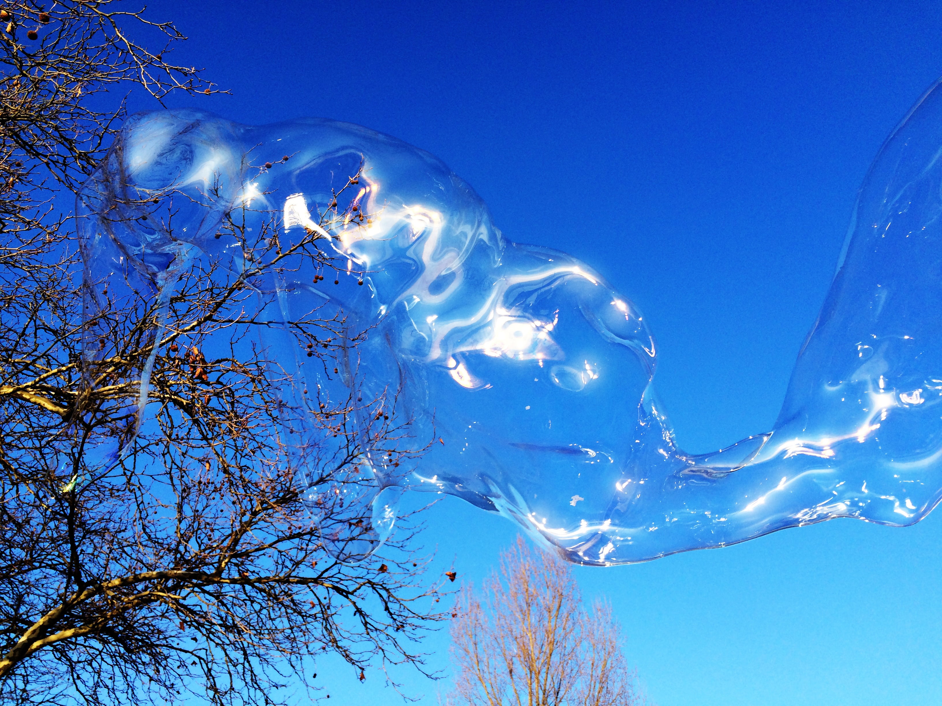 large, water, blow, animal, weightless, animal themes, float, beautiful, outdoors, nature, group of animals, huge, transient, clear sky, fly, blue, soap bubble, HD Wallpaper