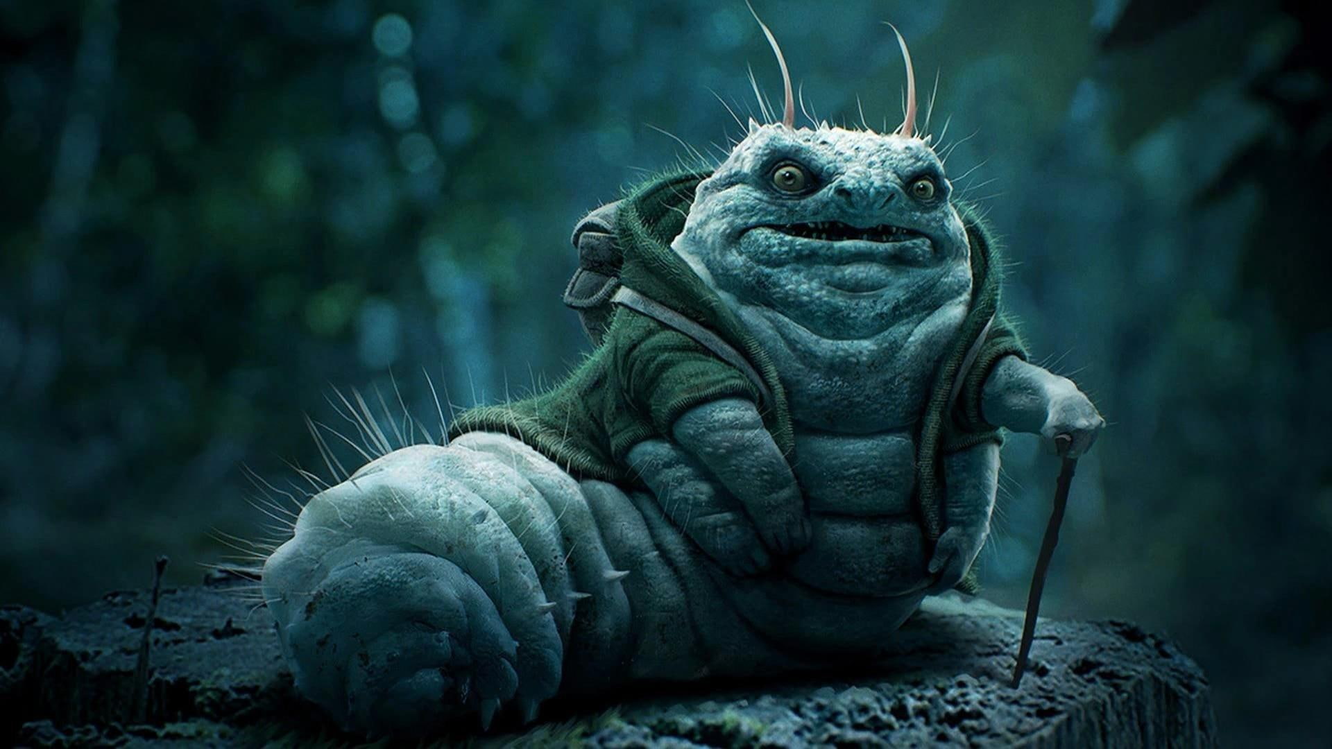 wonderland, 1080P, animals, alice, caterpillar, HD Wallpaper