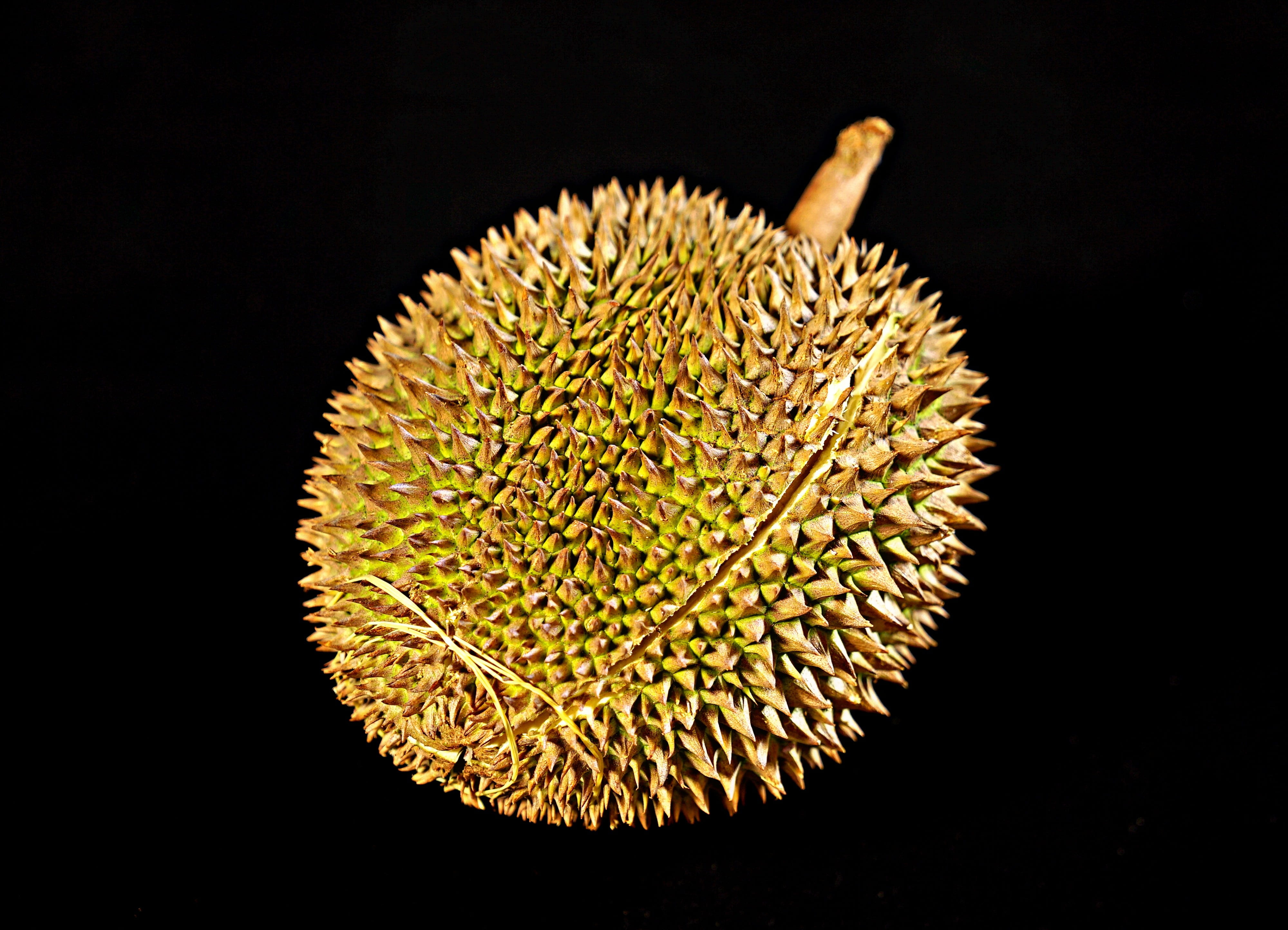 growth, food, yellow, food and drink, flower, thorny fruit, whole fruit, spiked, flowering plant, nature, delicious, spiky, malaysia, indoors, tropical, HD Wallpaper