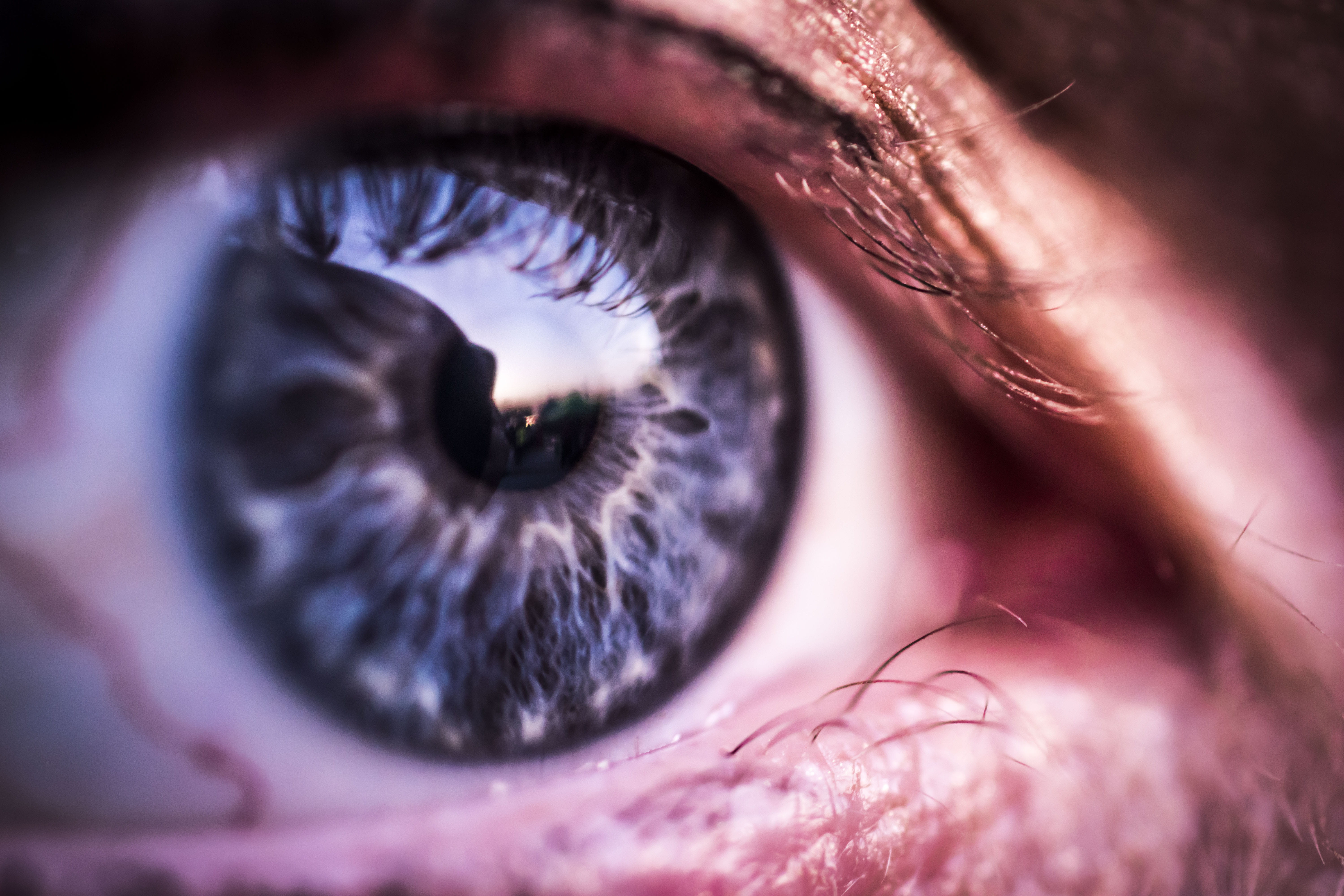blue, reflection, eyelash, close-up, girl, los angeles, sunset, eyeball, eye, brown, human eye, beautiful, looking, univers, beautiful woman, eyesight, HD Wallpaper