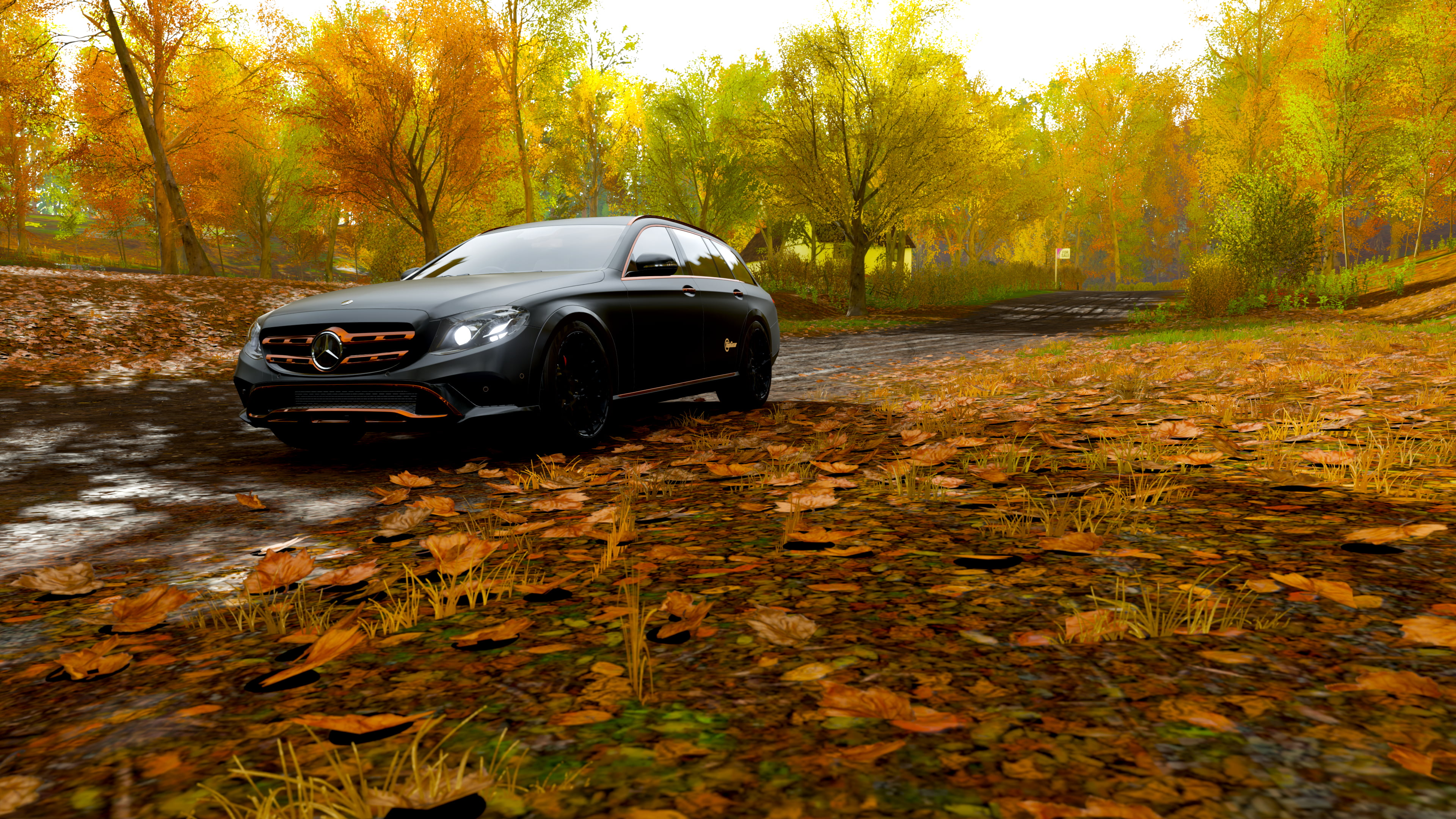 Mercedes Benz 350 D, Forza Horizon 4, 350 D, Mercedes-Benz E-Class, 4K, HD Wallpaper