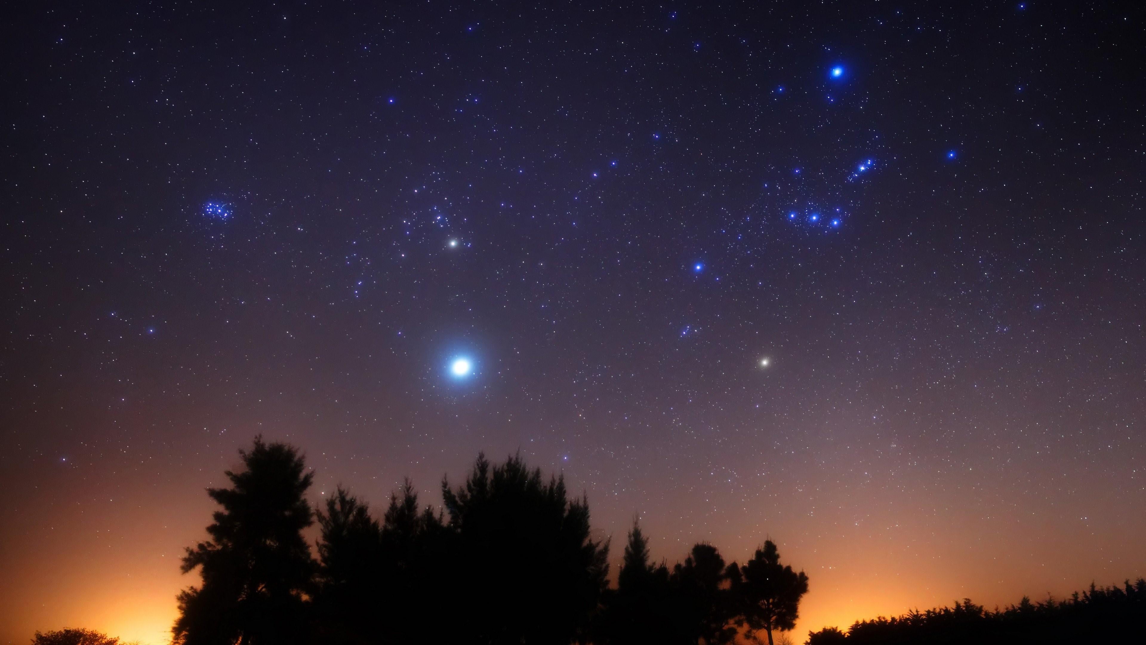 astronomy, plant, sirius, majestic, tree, orion, starry sky, scenics - nature, night, darkness, tranquility, outdoors, beauty in nature, sky, idyllic, no people, HD Wallpaper