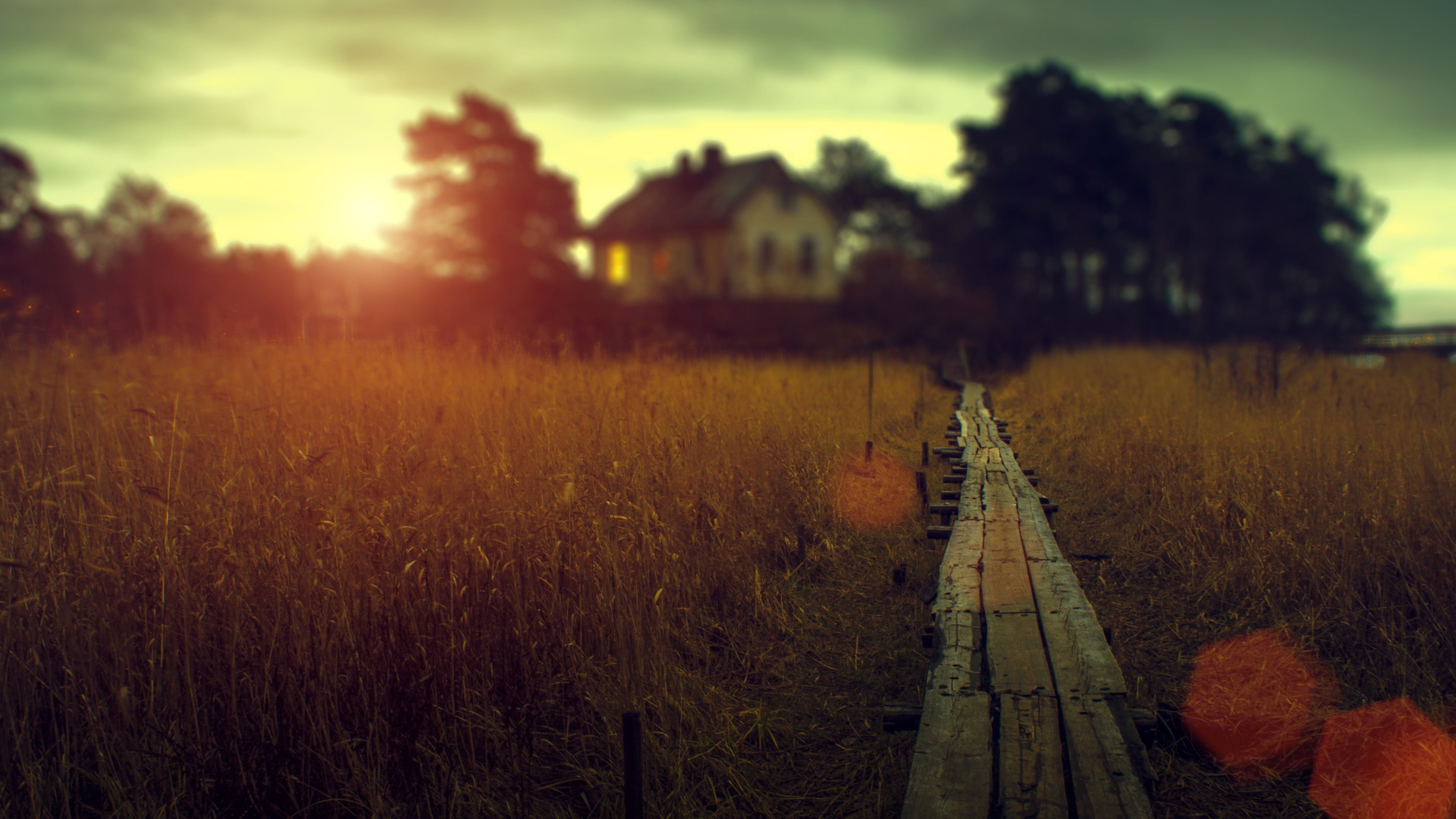 house, land, sky, morning, 4K, sunlight, direction, countryside, tranquil scene, field, sunset, tranquility, growth, outdoors, no people, diminishing perspective, HD Wallpaper