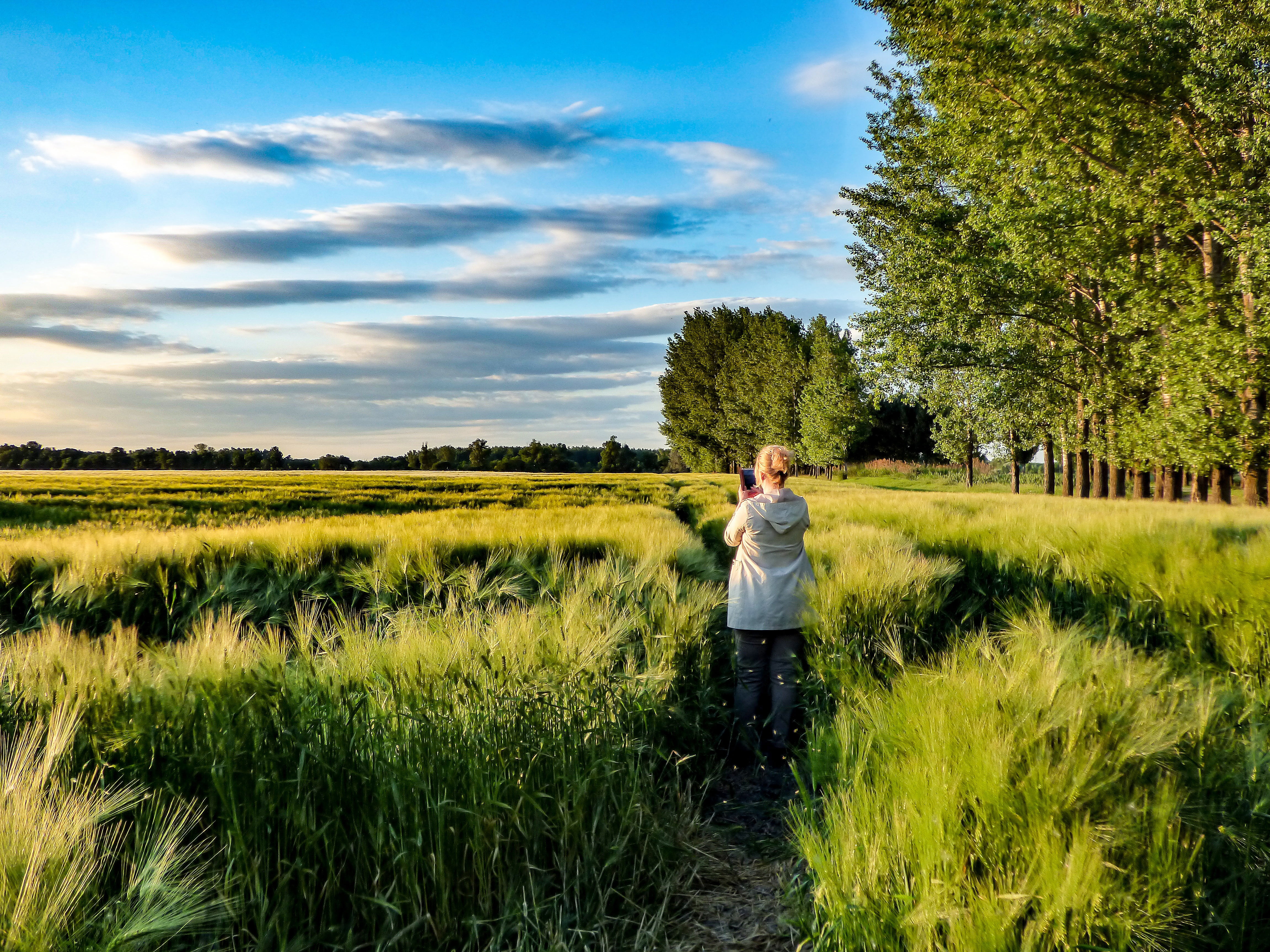land, scenics - nature, one person, 4K, day, nature, sunshine, rural landscape, plant, grain, clouds, girl, casual clothing, man, standing, beauty in nature, HD Wallpaper