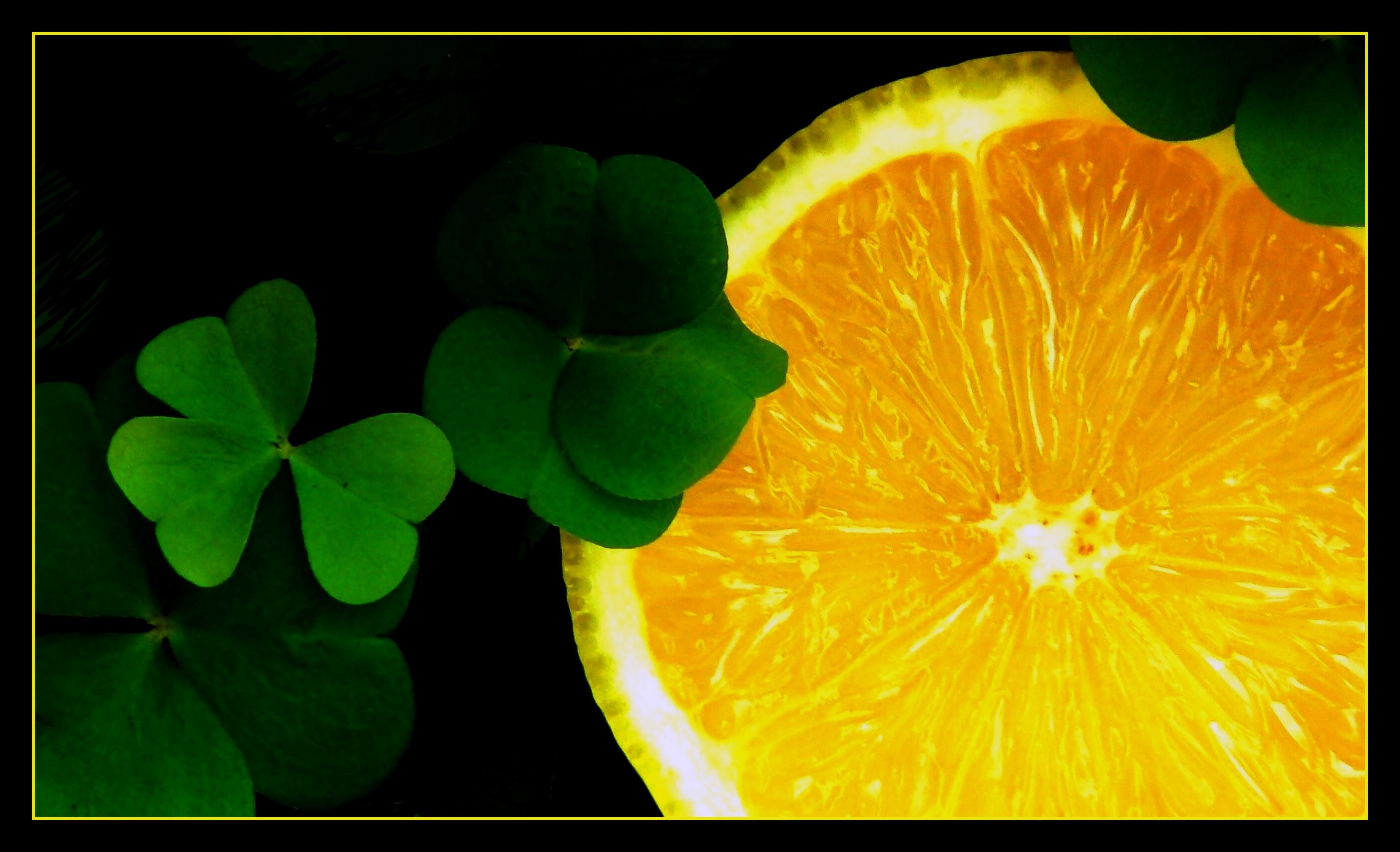 funny, black background, deco, citrus Fruit, food and drink, klee, auto post production filter, growth, photo, transfer print, lucky charm, gastronomy, HD Wallpaper