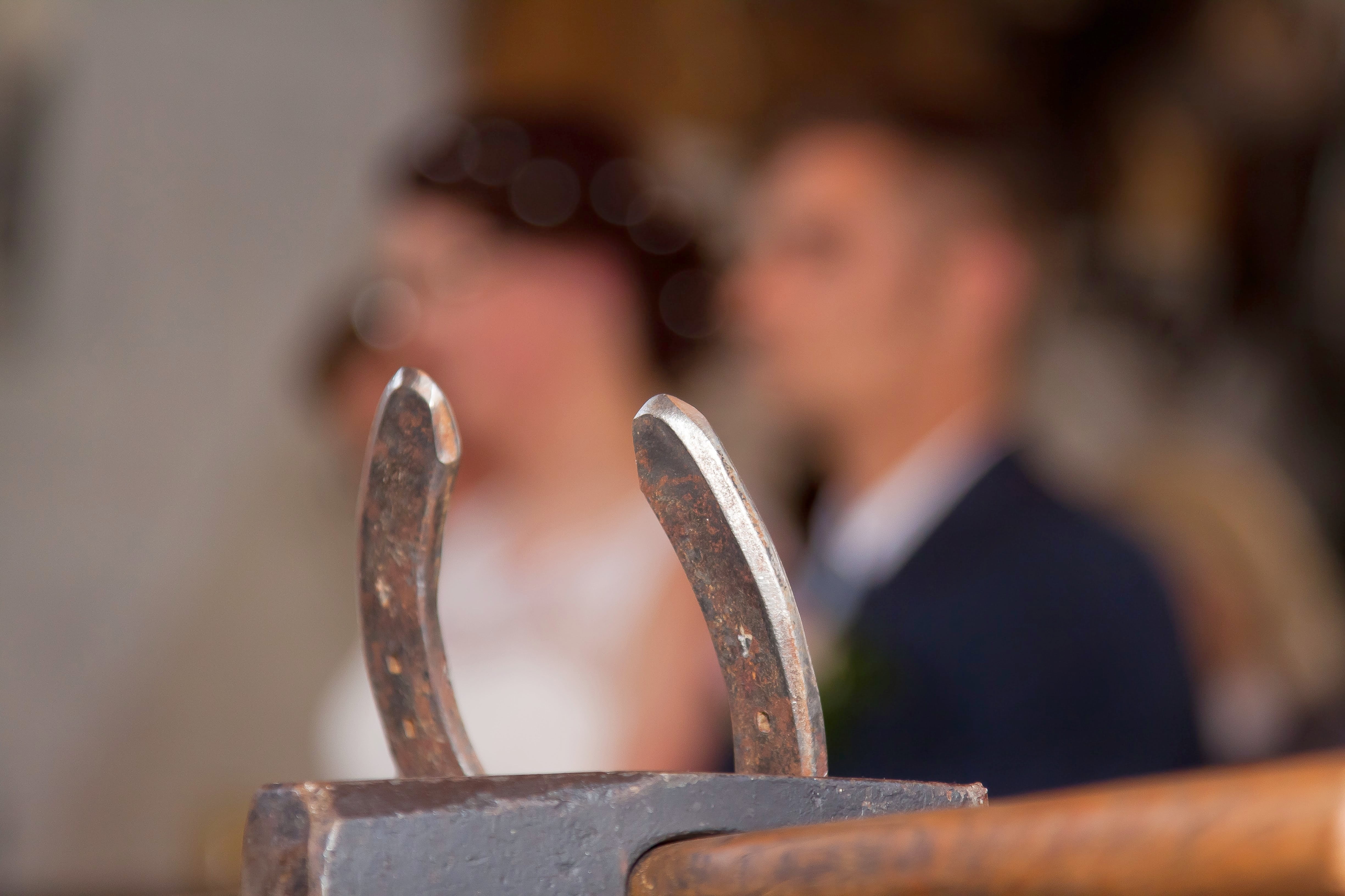 horses, young adult, headshot, groom, day, indoors, horseshoe, marry, together, luck, roses, pliers, one person, love, blacksmith, bride, profile view, HD Wallpaper