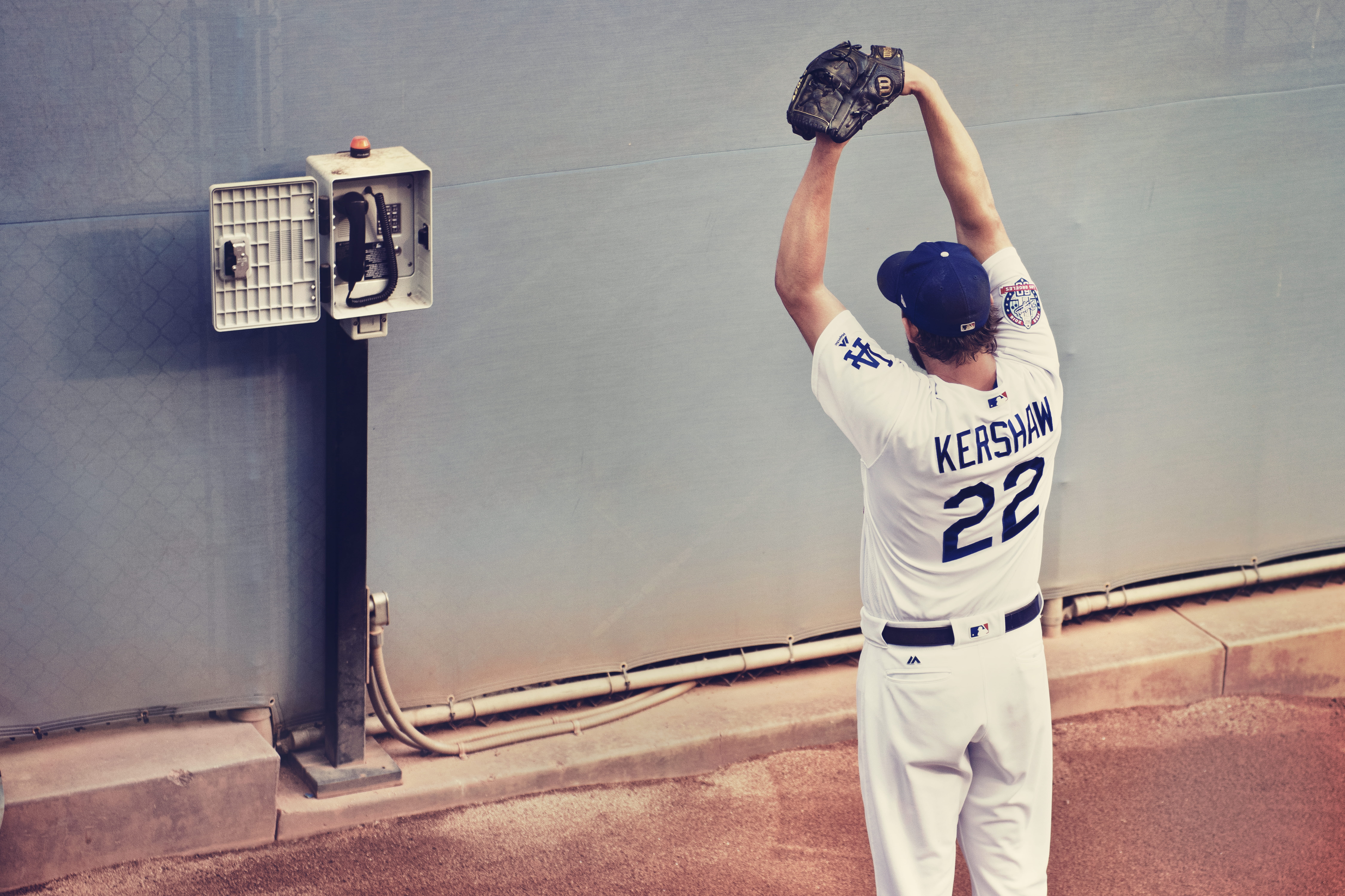 dodger stadium, wall, arms raised, outdoors, athlete, female, front, body part, young adult, apparel, human arm, jersey, gloves, standing, one person, sport, HD Wallpaper