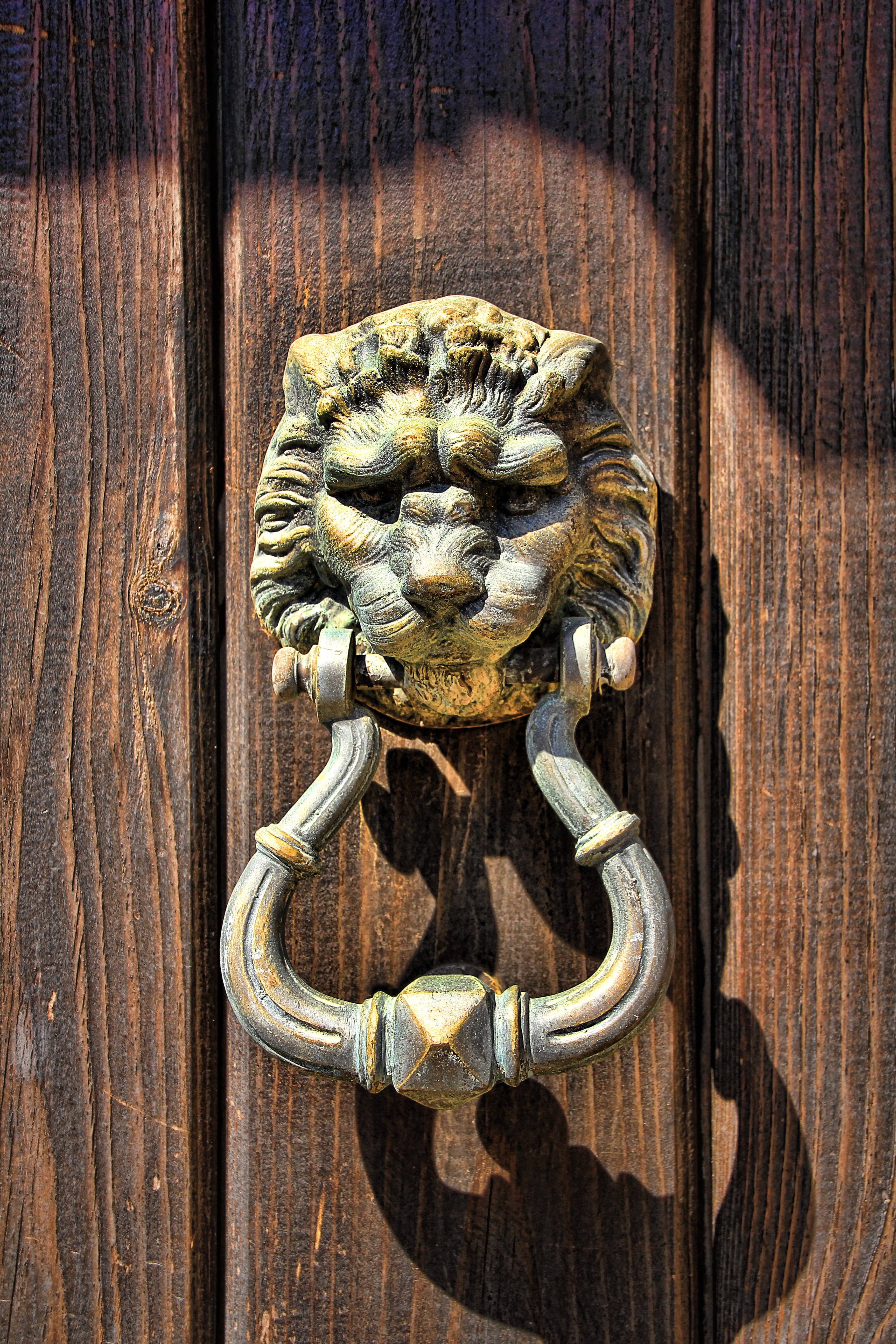 lion head, knob, wood - material, animal representation, lion, gate, animal, door, entrance, thumper, close up, security, close-up, front door, mammal, Phone HD Wallpaper