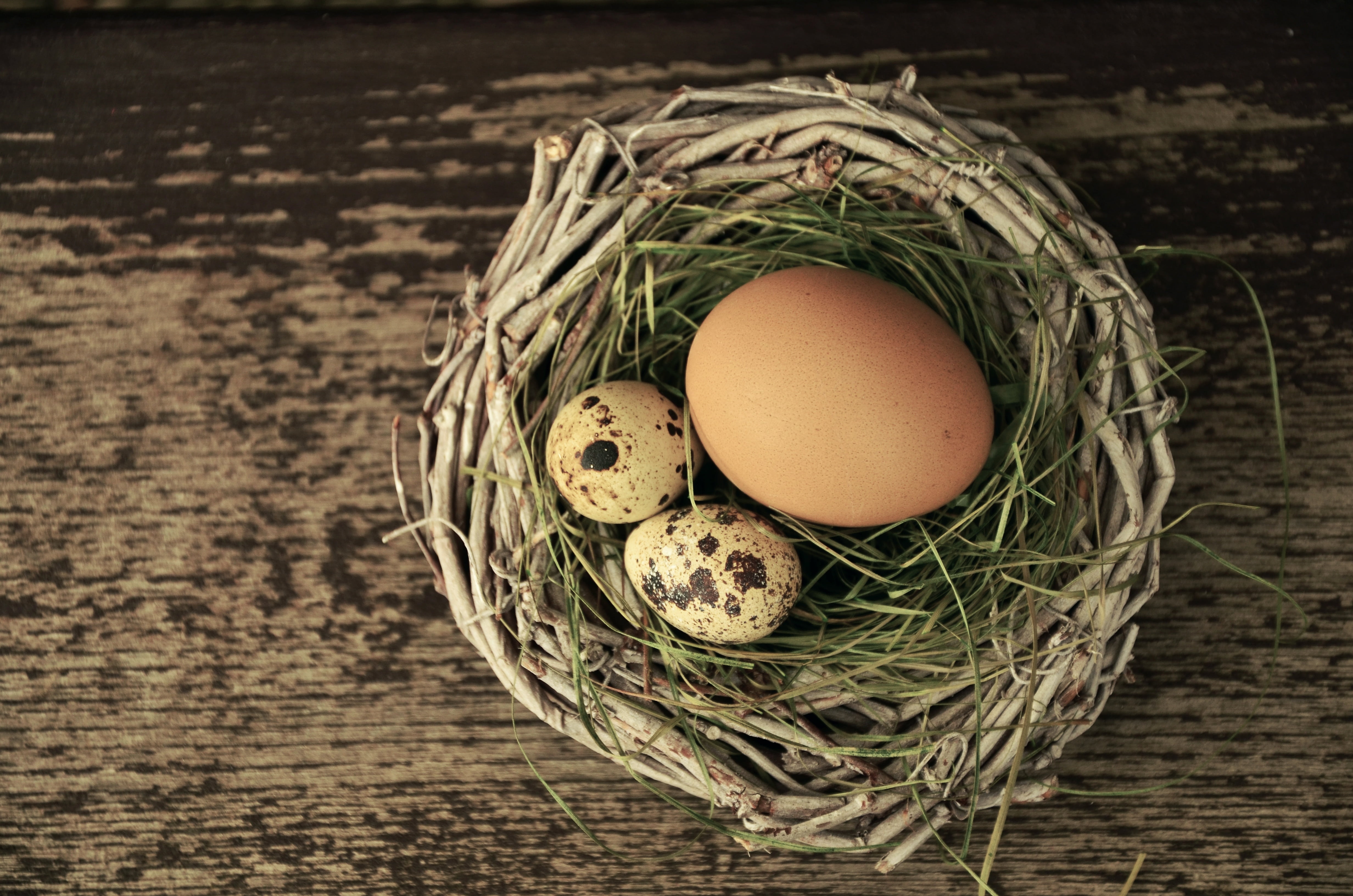 easter decoration, wood - material, freshness, easter, black background, table, animal egg, food, food and drink, no people, directly above, wicker, quail, HD Wallpaper