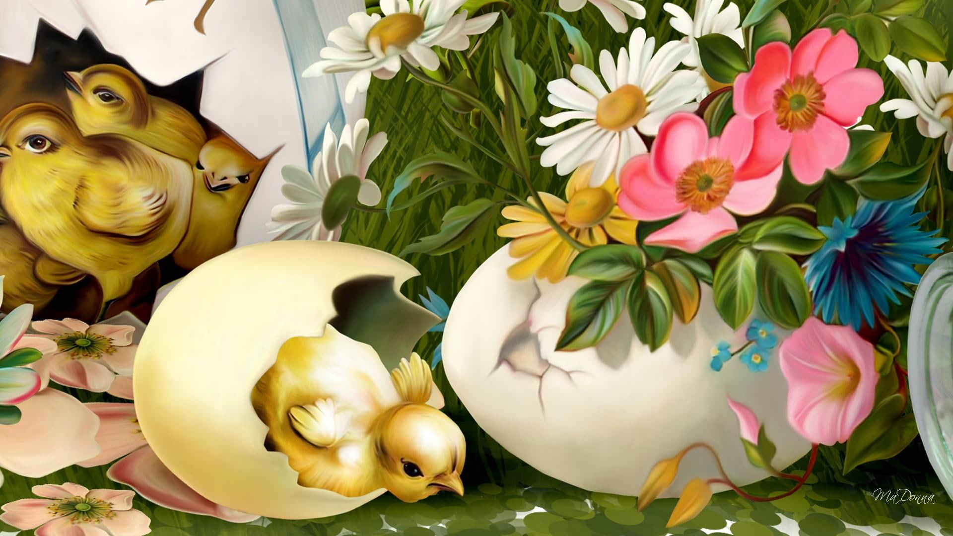 chicks, eggs, chicken, flowers, spring, hatched, daisies, holiday, chick, colorful, graphics, happening, nature and landscapes, 1080P, easter, HD Wallpaper