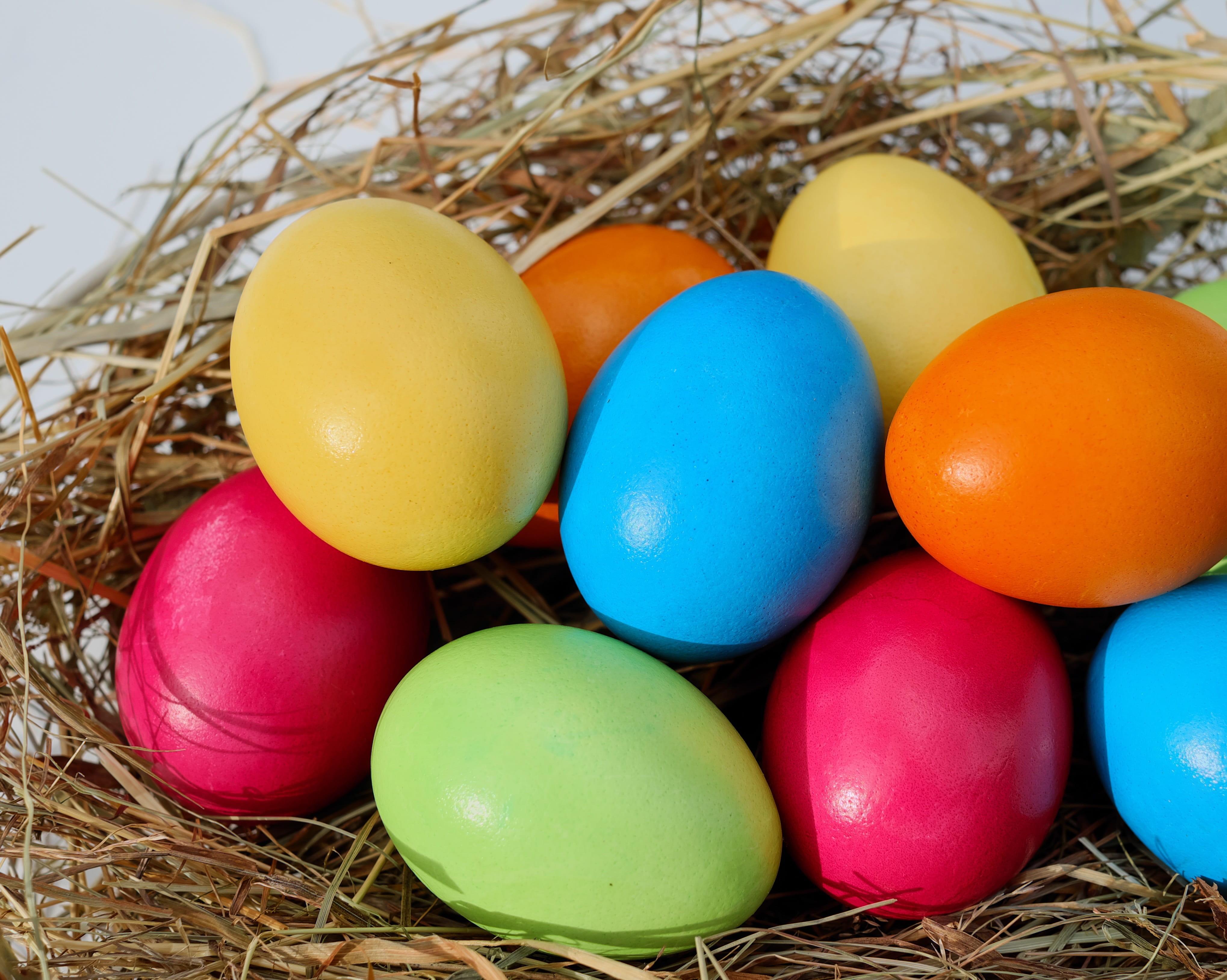 food and drink, egg, easter, variation, still life, eggs, easter eggs, easter decorations, animal egg, assorted, natural product, 4K, easter nest, celebration, HD Wallpaper