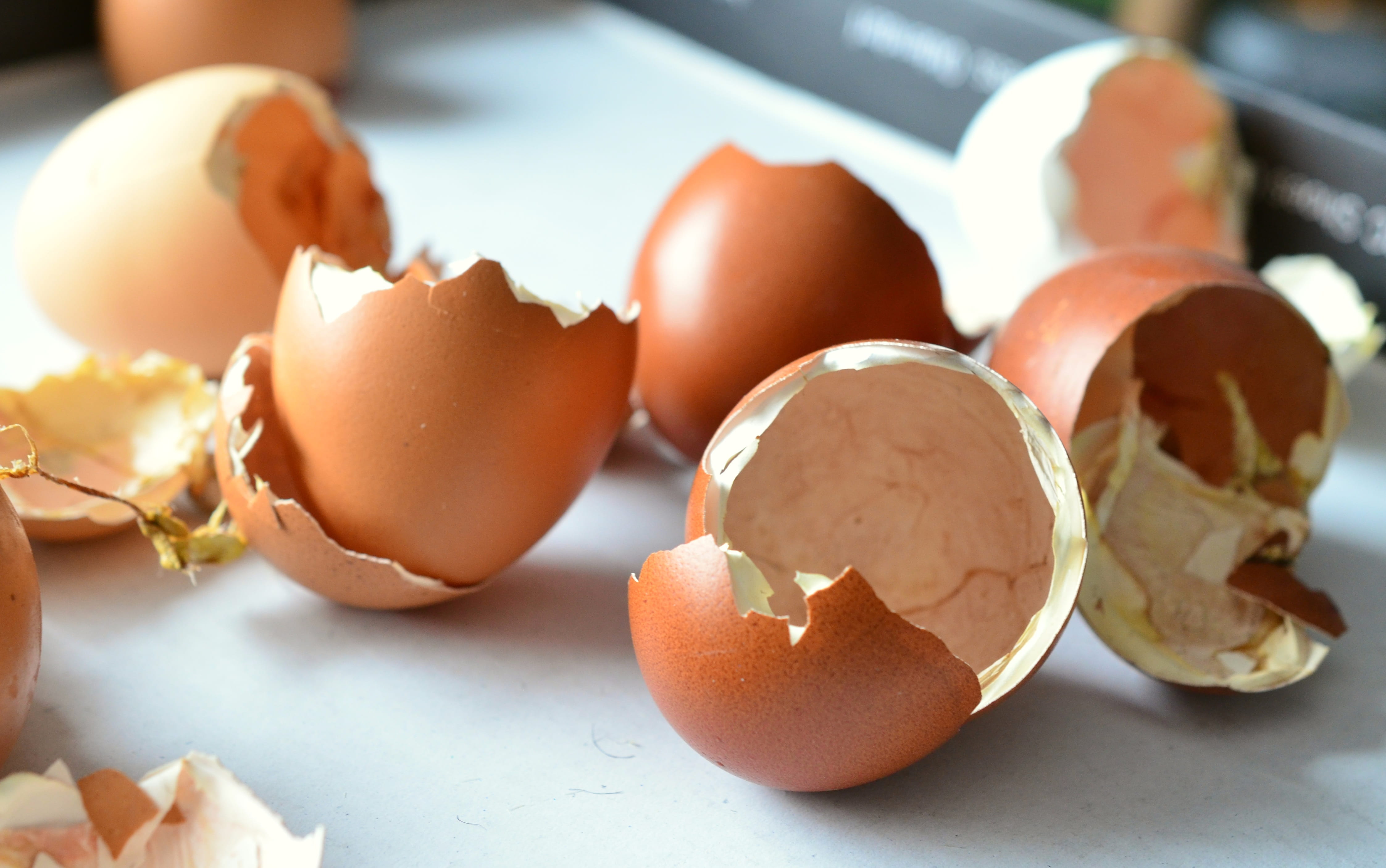 no people, fragility, chickens, freshness, focus on foreground, open, group of objects, close-up, cracked, egg yolk, animal egg, broken, healthy eating, HD Wallpaper