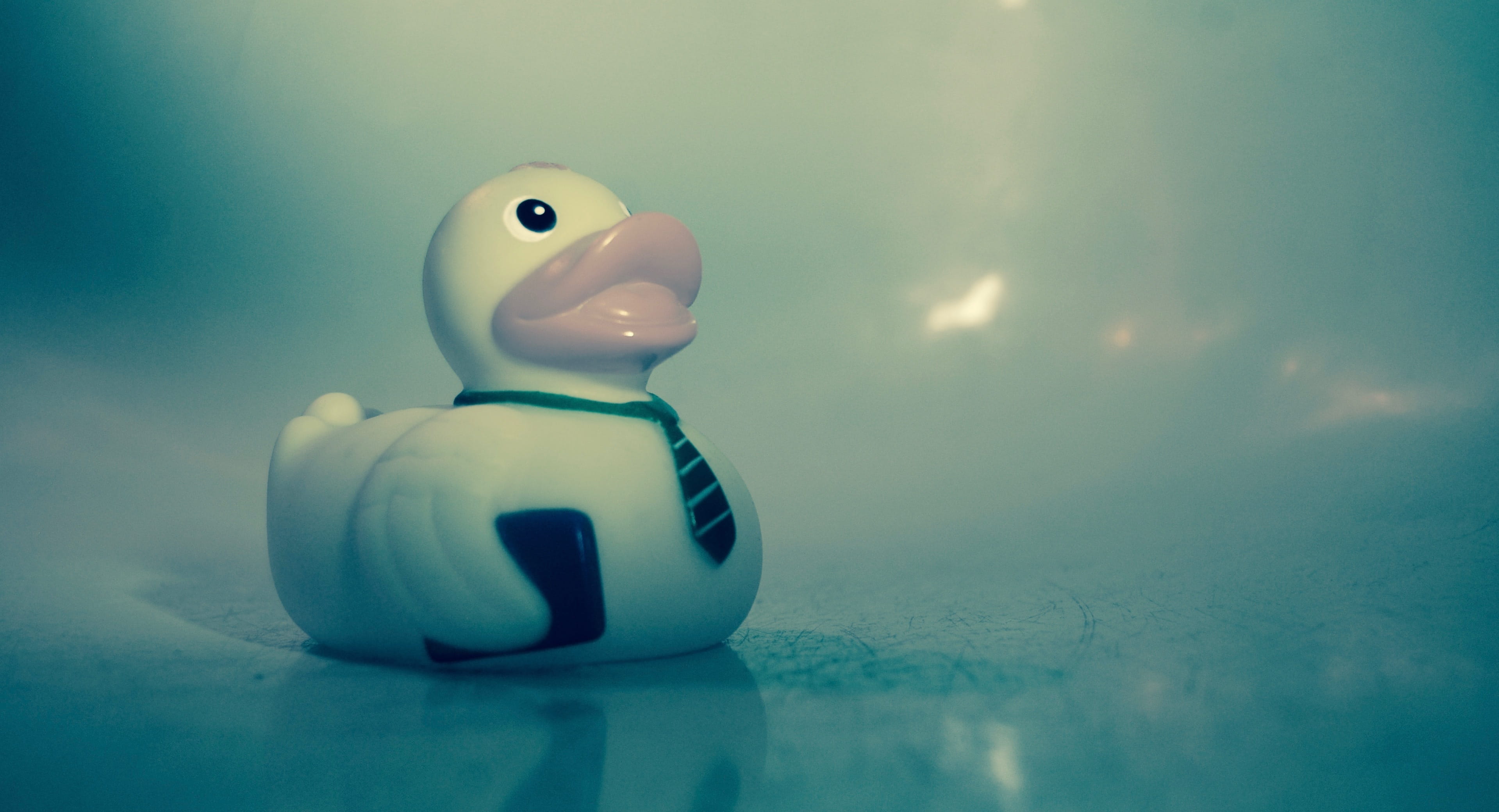 bathroom, toy, nature, ceramics, no people, reflection, Tub, blue background, porcelain, Bath, business, finance, representation, plastic, duck, studio shot, HD Wallpaper
