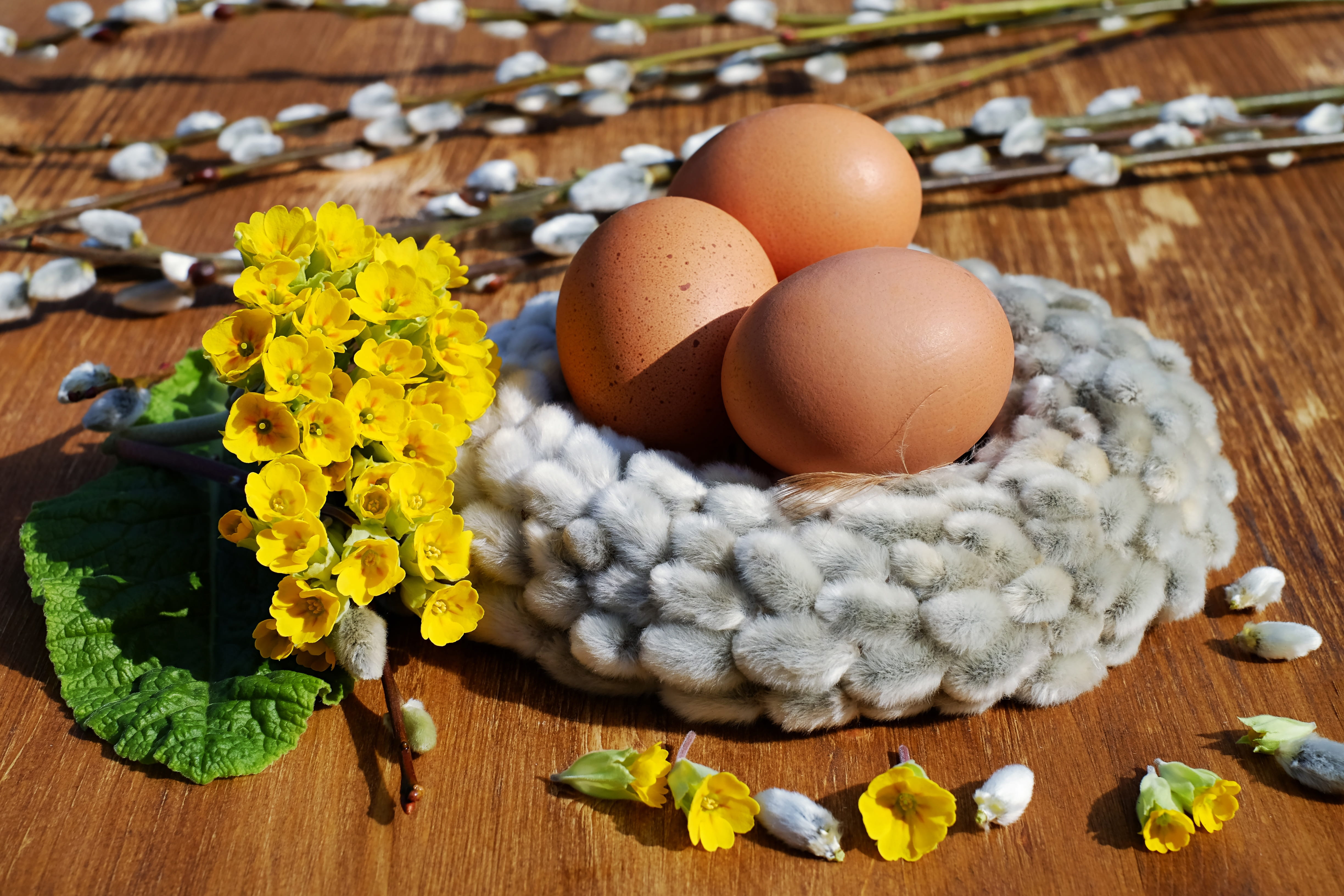 no people, customs, yellow, freshness, eggs, indoors, plant, egg, three, flowers, wood - material, easter decorations, flower, easter, fragility, vulnerability, HD Wallpaper