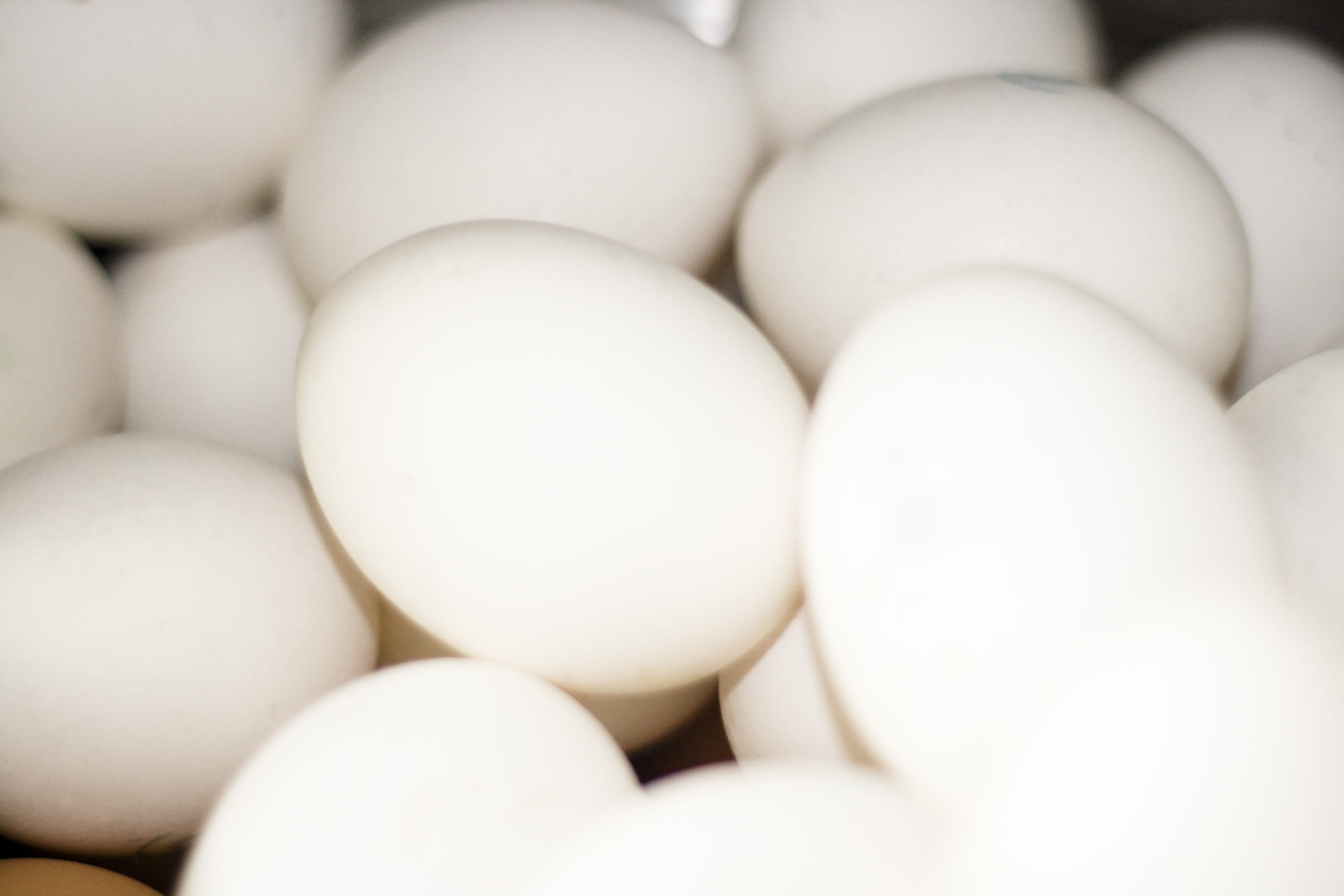 business, healthy, egg, indoors, easter, eggshell, freshness, ingredient, large group of objects, cholesterol, concepts, fragile, object, abundance, raw food, HD Wallpaper
