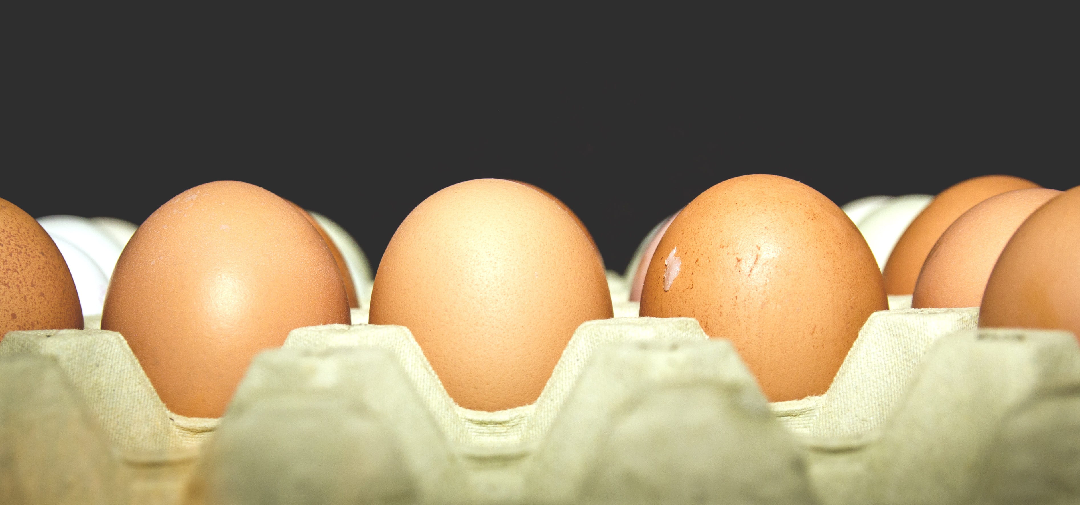 group of objects, egg, Food, in a row, studio shot, arrangement, Dozen, medium group of objects, day, black background, brown, tray, white color, protein, HD Wallpaper