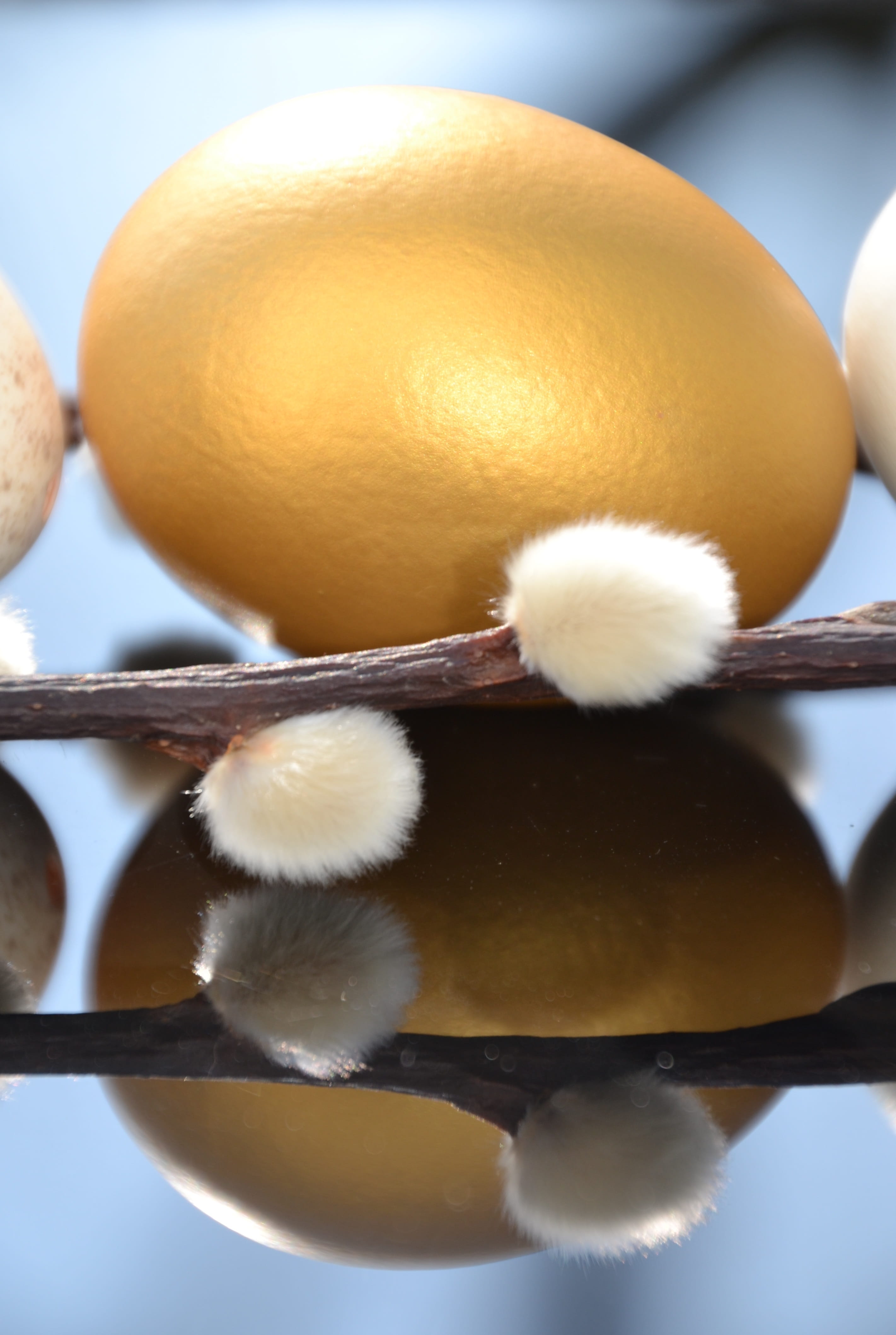palm kitten, freshness, food, mirroring, kitchen utensil, close up, yellow, fruit, eggshell, eating utensil, indoors, healthy eating, easter, no people, Phone HD Wallpaper
