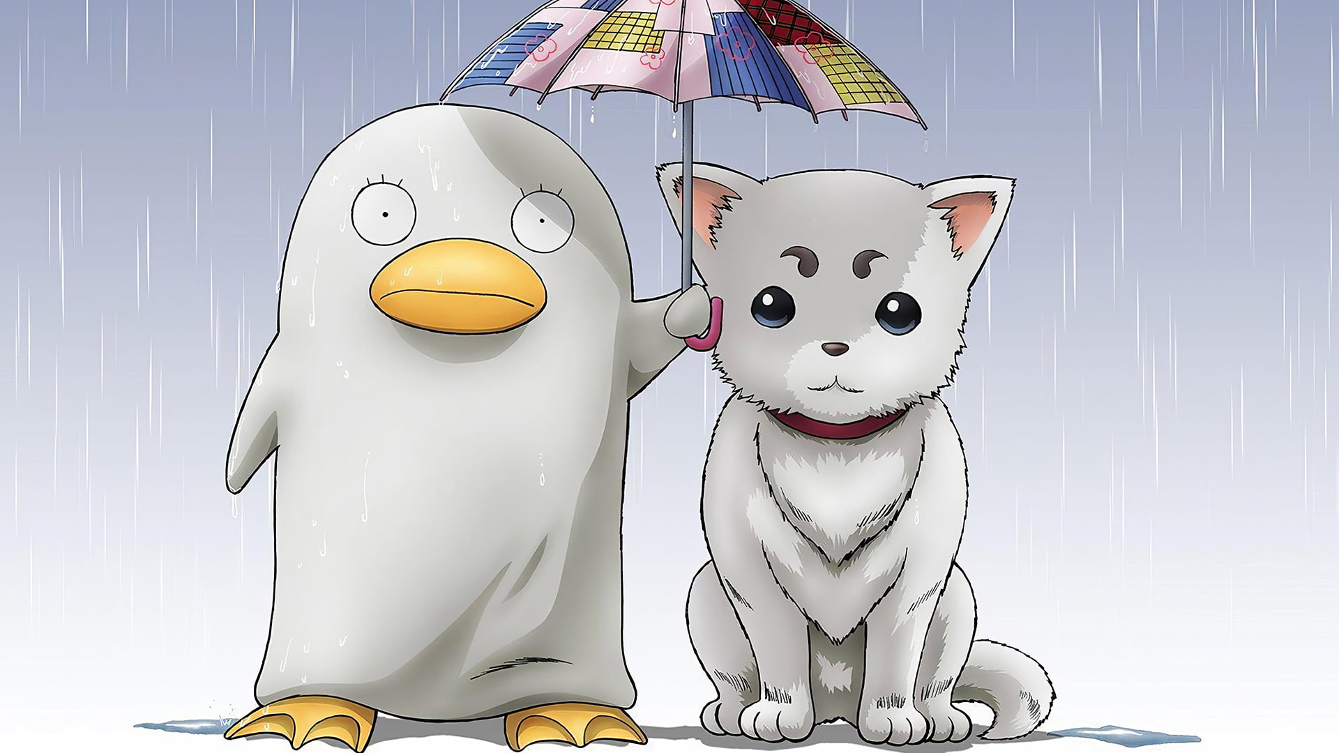 Sadaharu, Elizabeth, 1080P, Gintama, HD Wallpaper