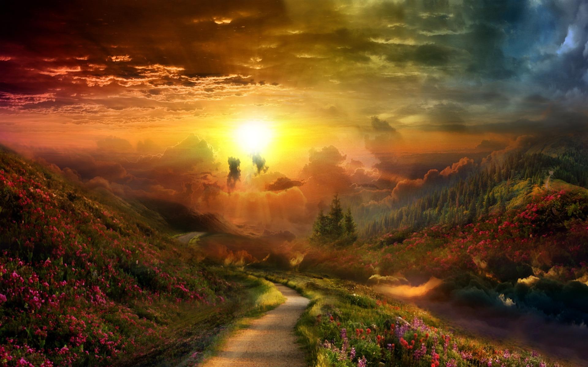 forest, 1080P, beautiful, sunset, trees, nature, new, fanta, valley, colors, wonderful, road, flowers, cool, beginning, HD Wallpaper