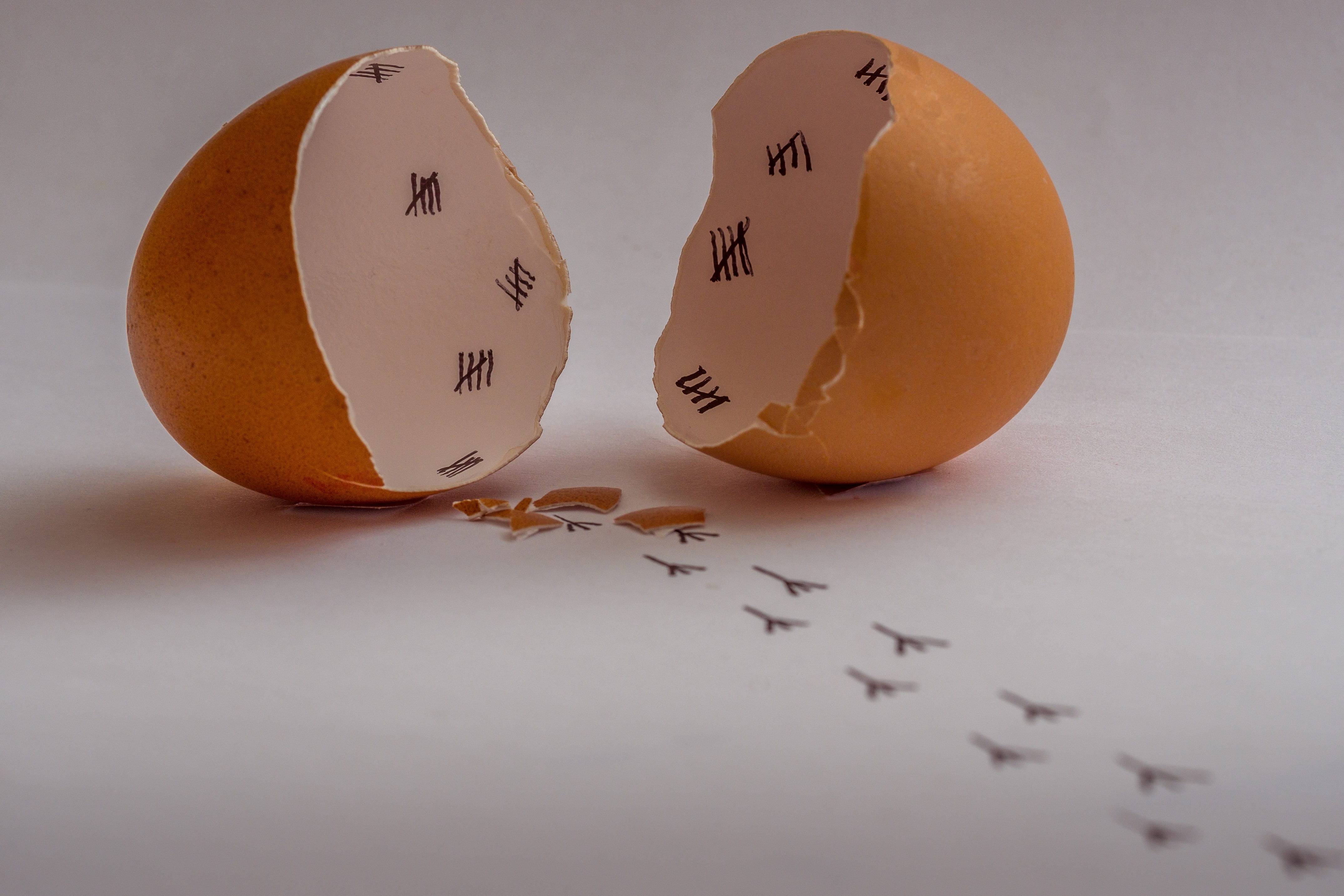 no people, 4K, art, broken, eggshell, raw food, close-up, egg, food, food and drink, indoors, footprints, break out, healthy eating, vulnerability, nature, HD Wallpaper