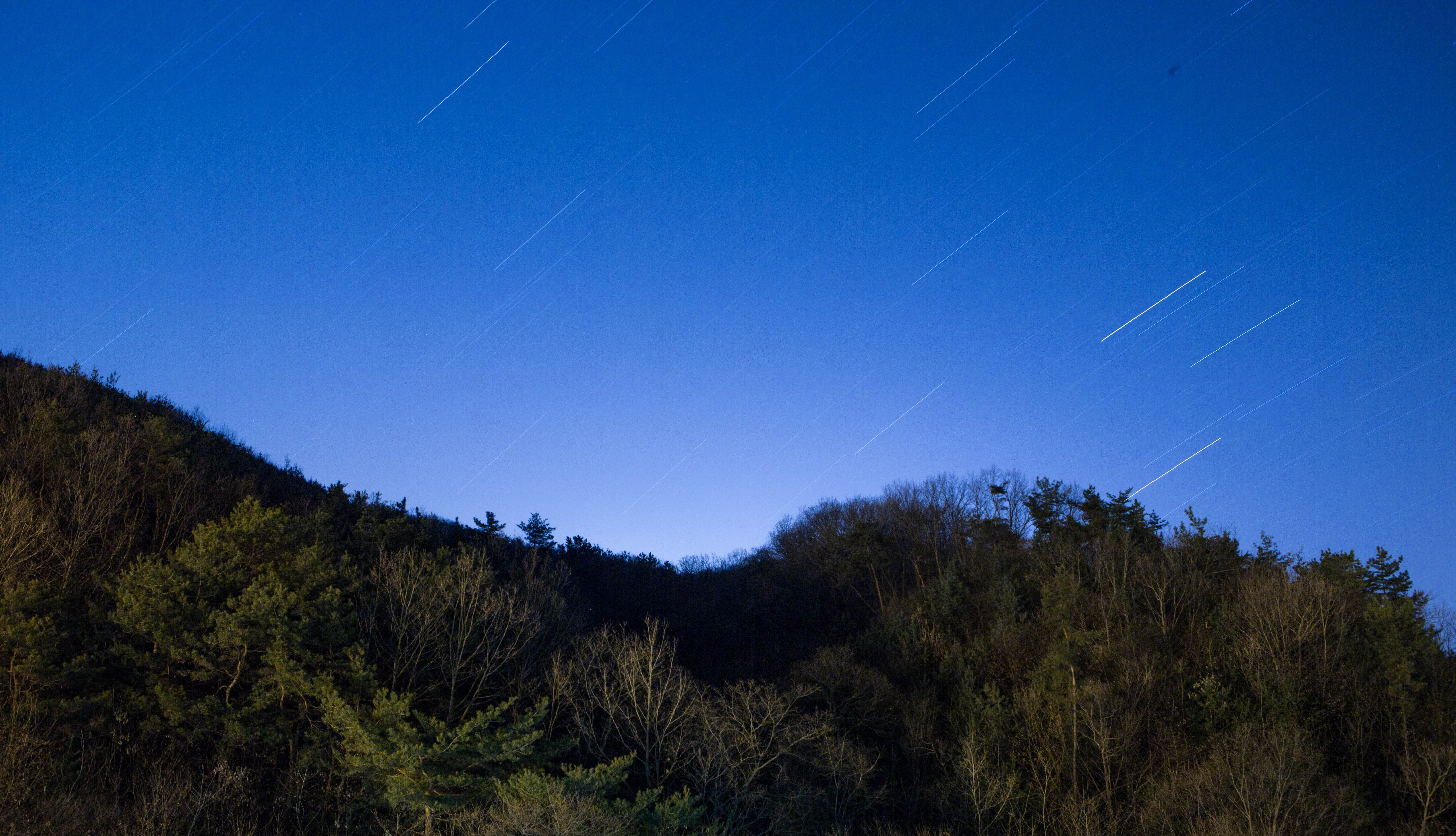 plant, starlight, scenics - nature, 5K, outdoors, star, astronomy, blue, tree, mountain, scenery, pine woodland, tranquility, landscape, light, tranquil scene, HD Wallpaper